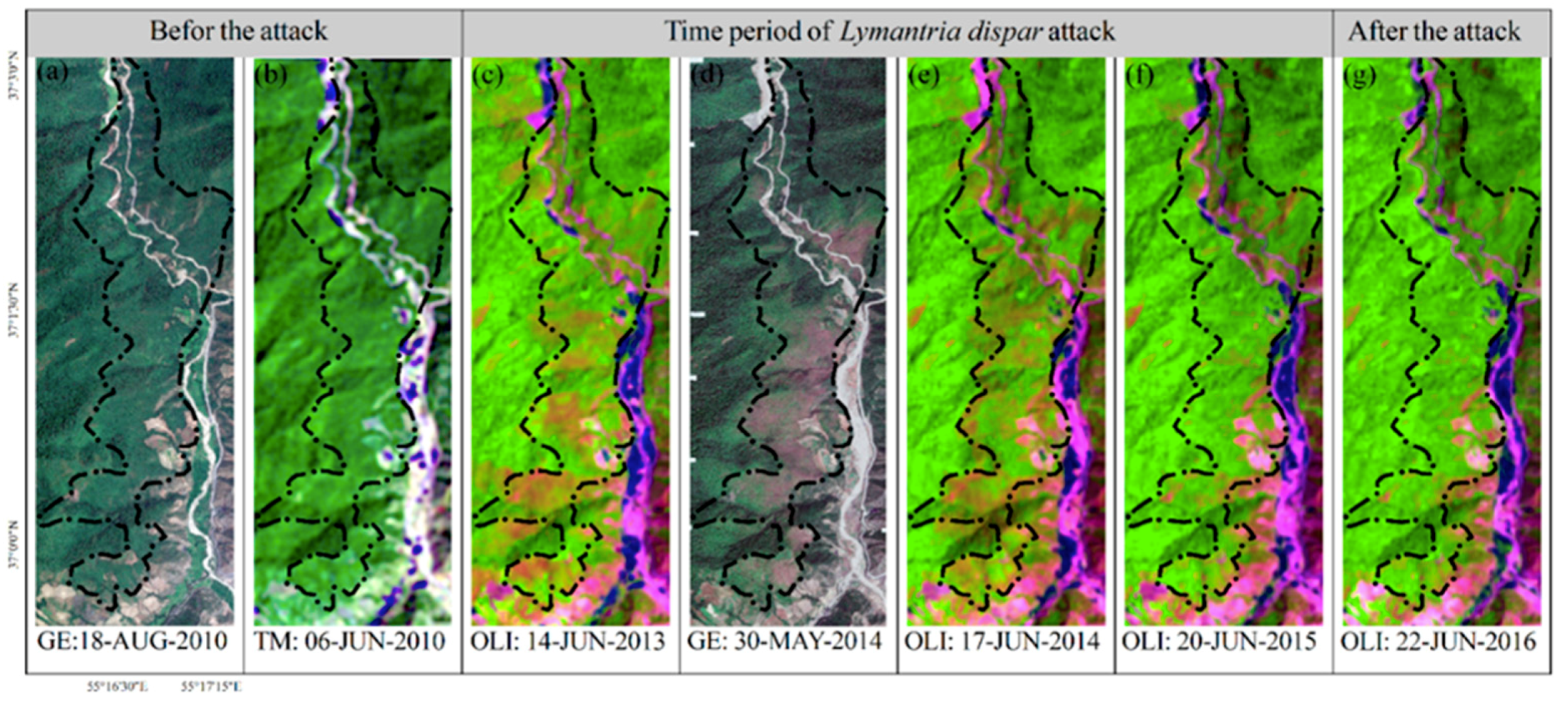 Sensors 19 03965 g002 Sensors 19 03965 g002