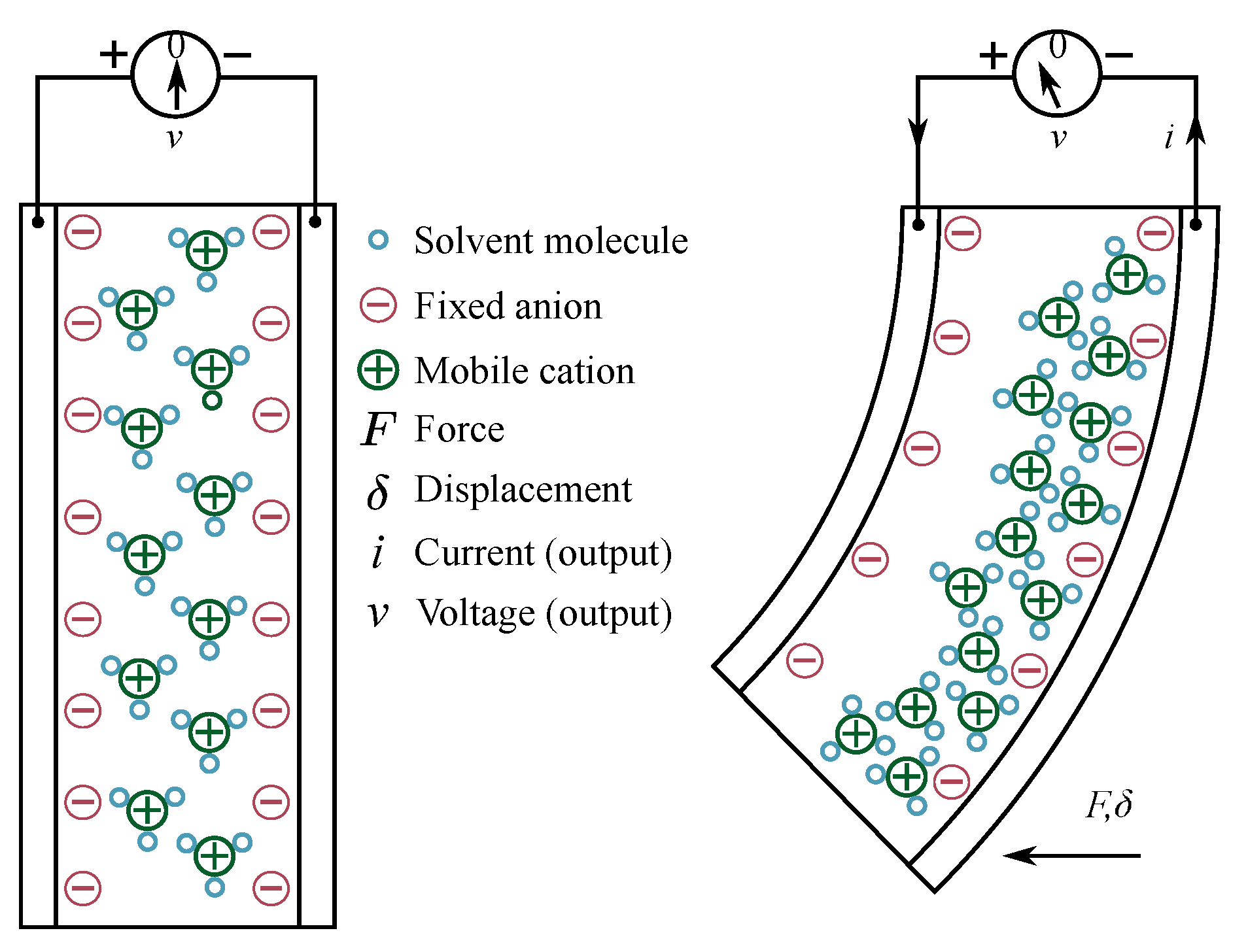Sensors 19 03967 g004 Sensors 19 03967 g004