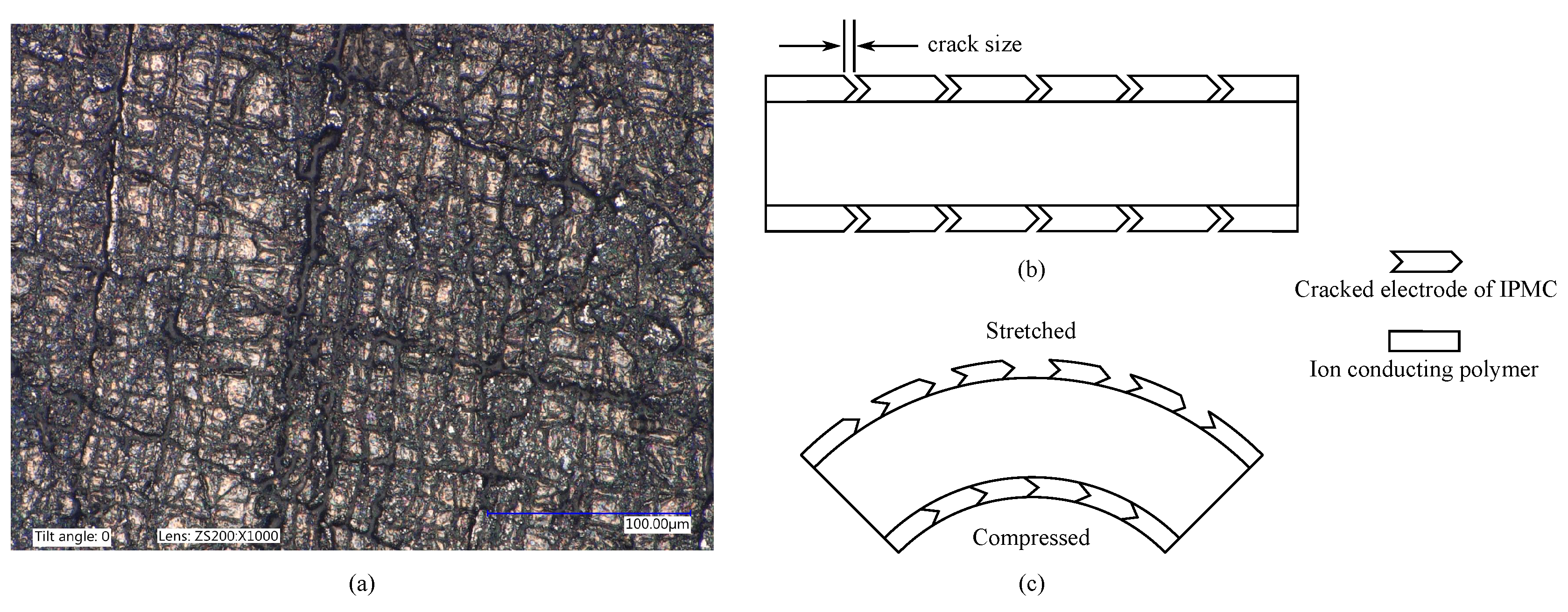 Sensors 19 03967 g013 Sensors 19 03967 g013