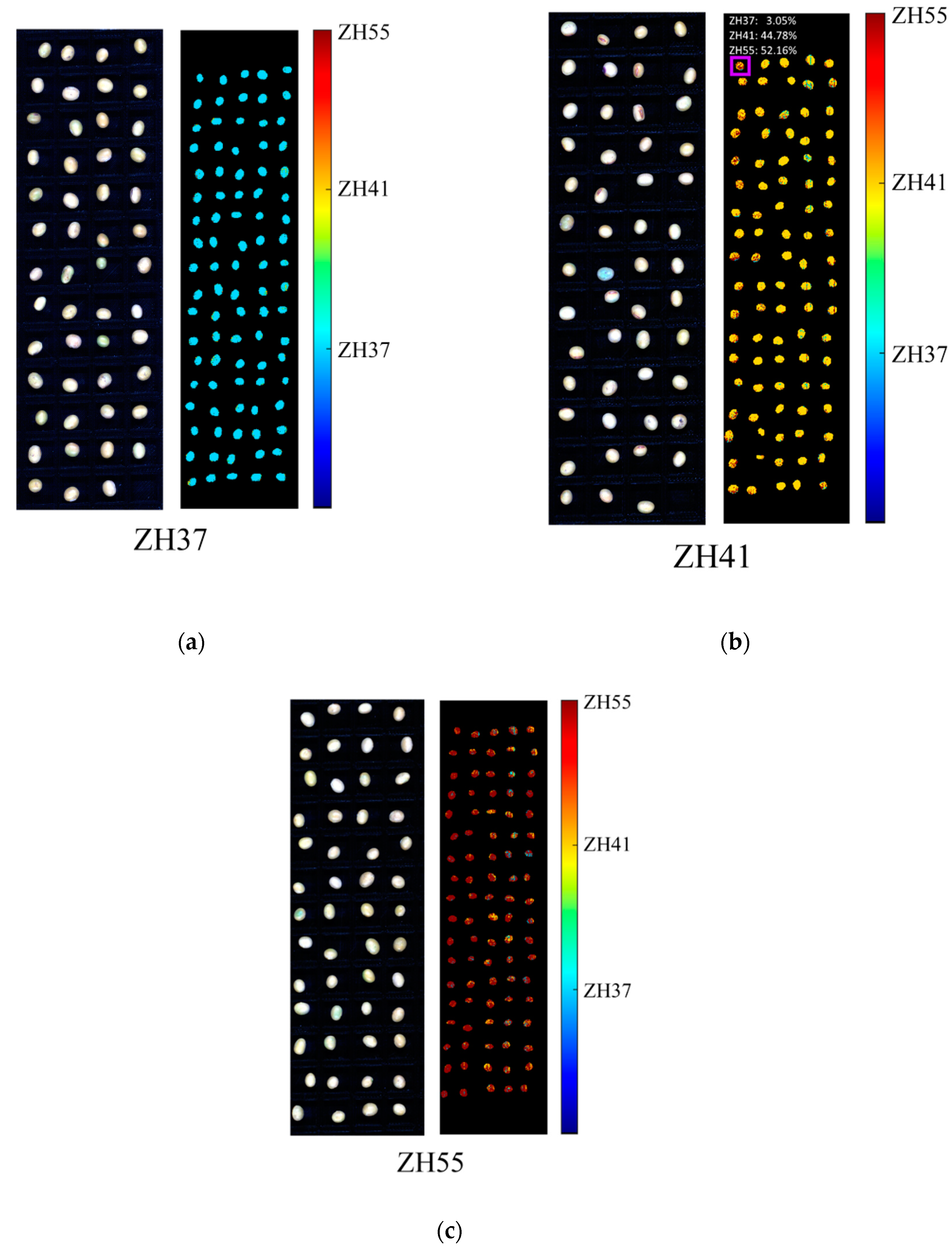 Sensors 19 04065 g006