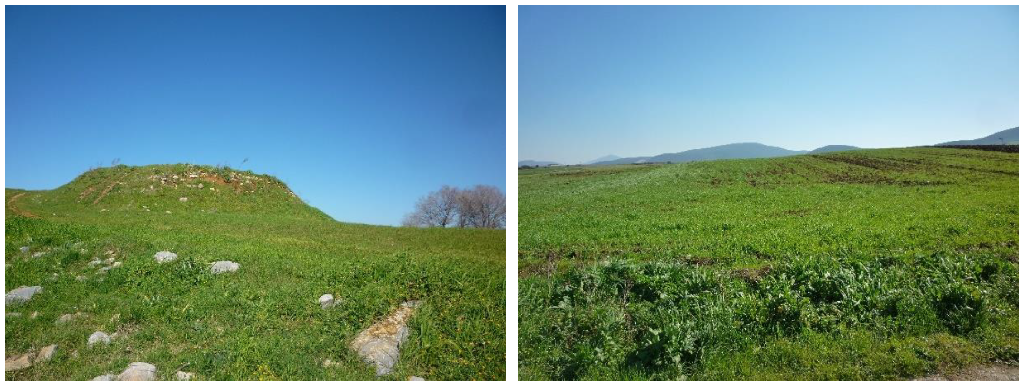 Sensors 19 04066 g003