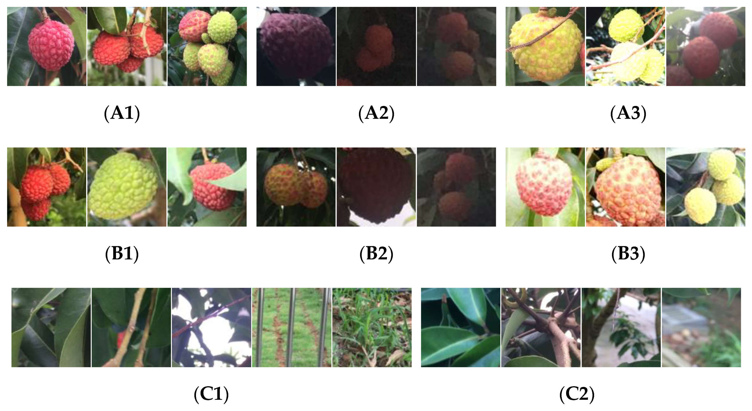 Lychee Fruit Detection Based on Monocular Machine Vision in Lychee Fruit Detection Based on Monocular Machine Vision in