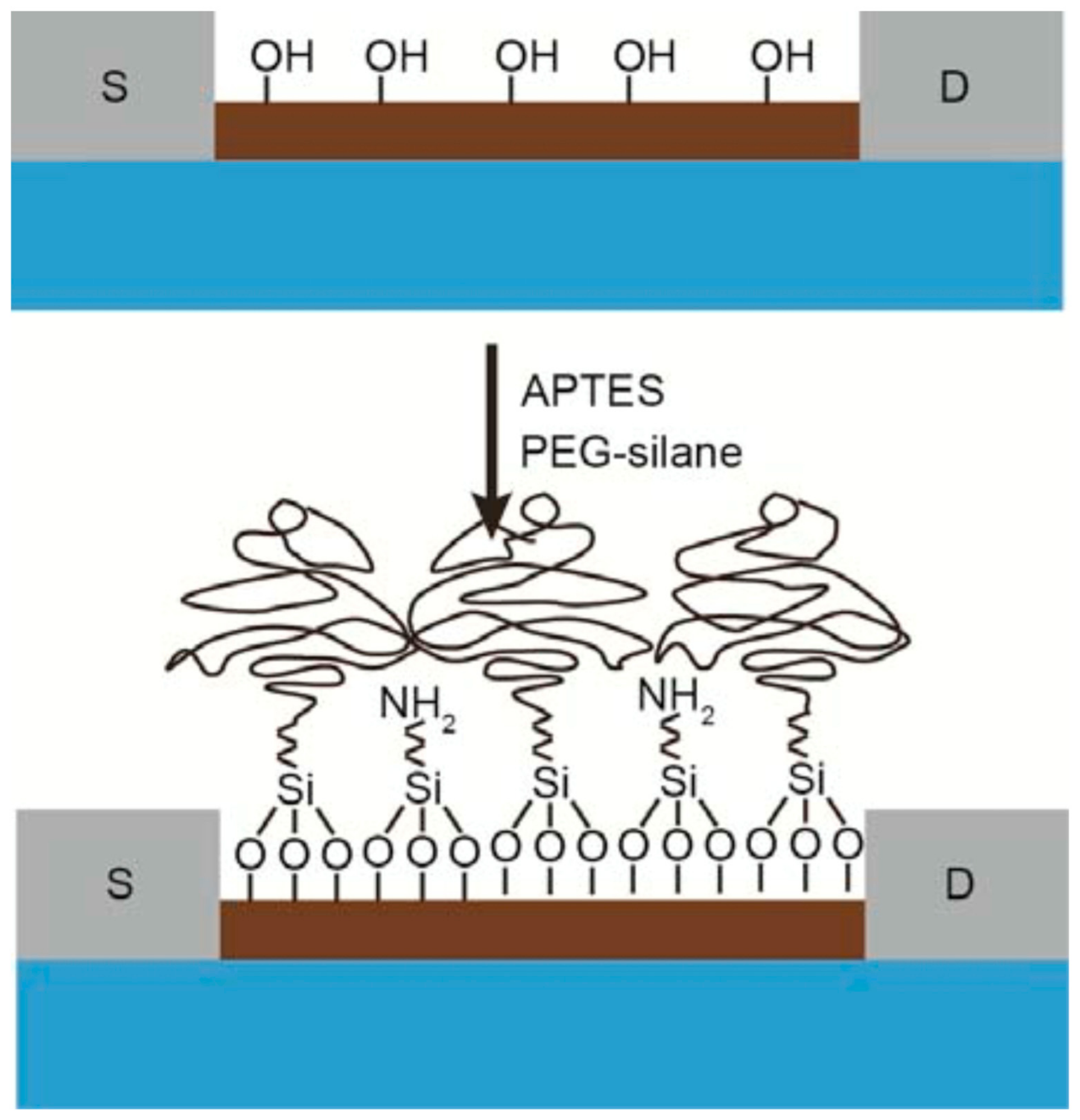 Sensors 19 04214 g008