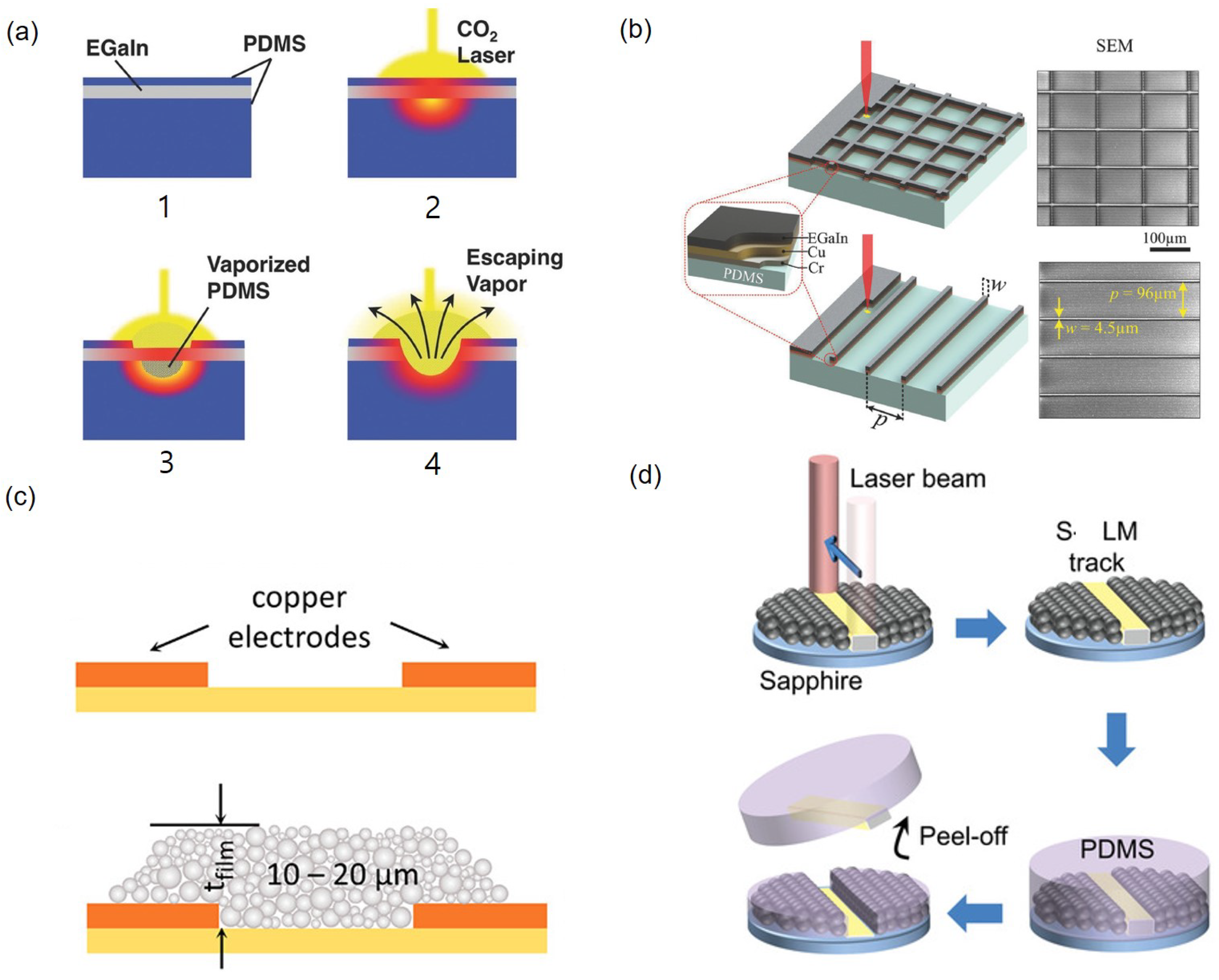 Sensors 19 04250 g007
