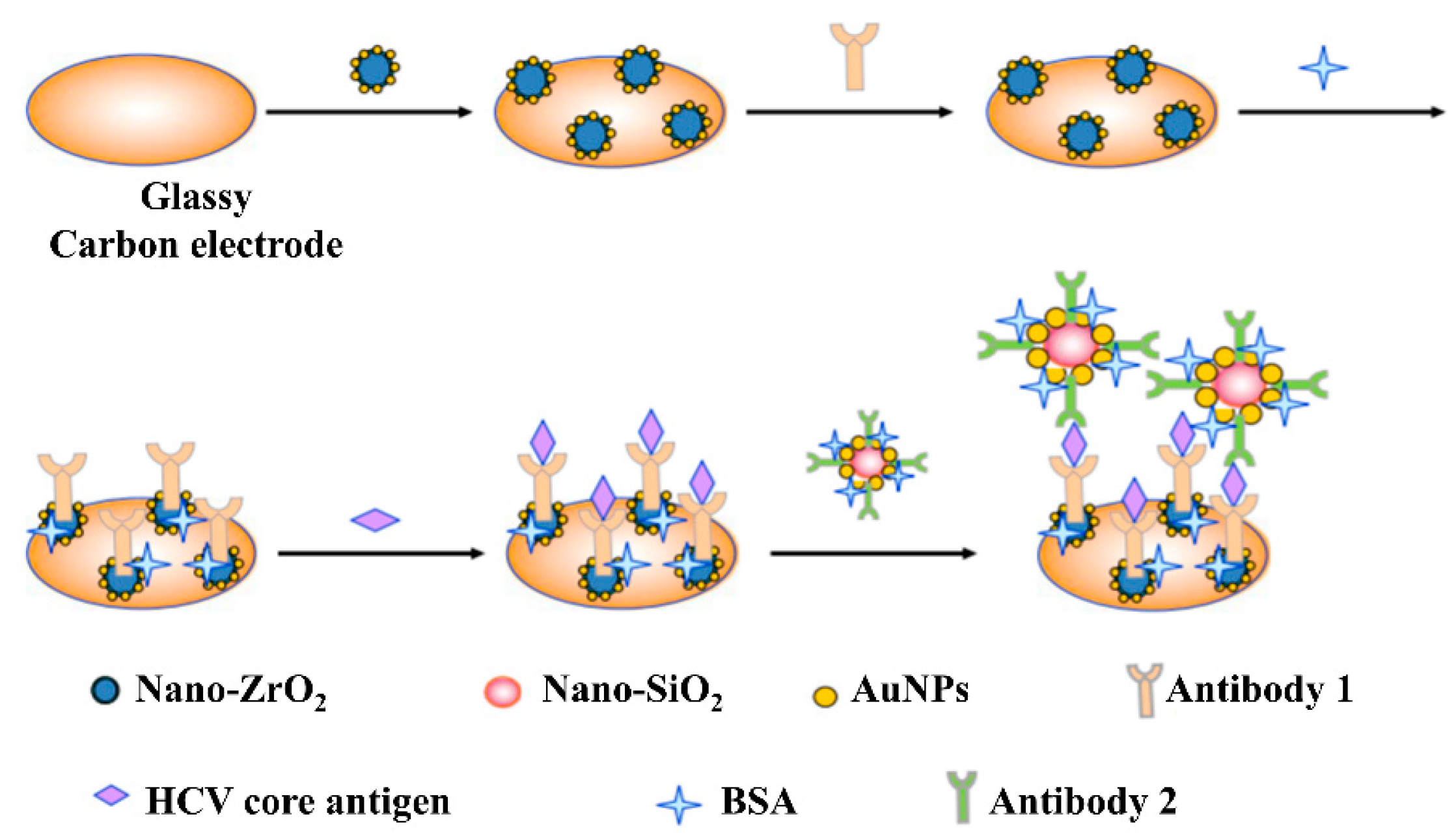 Sensors Free FullText Developments in the HCV Screening