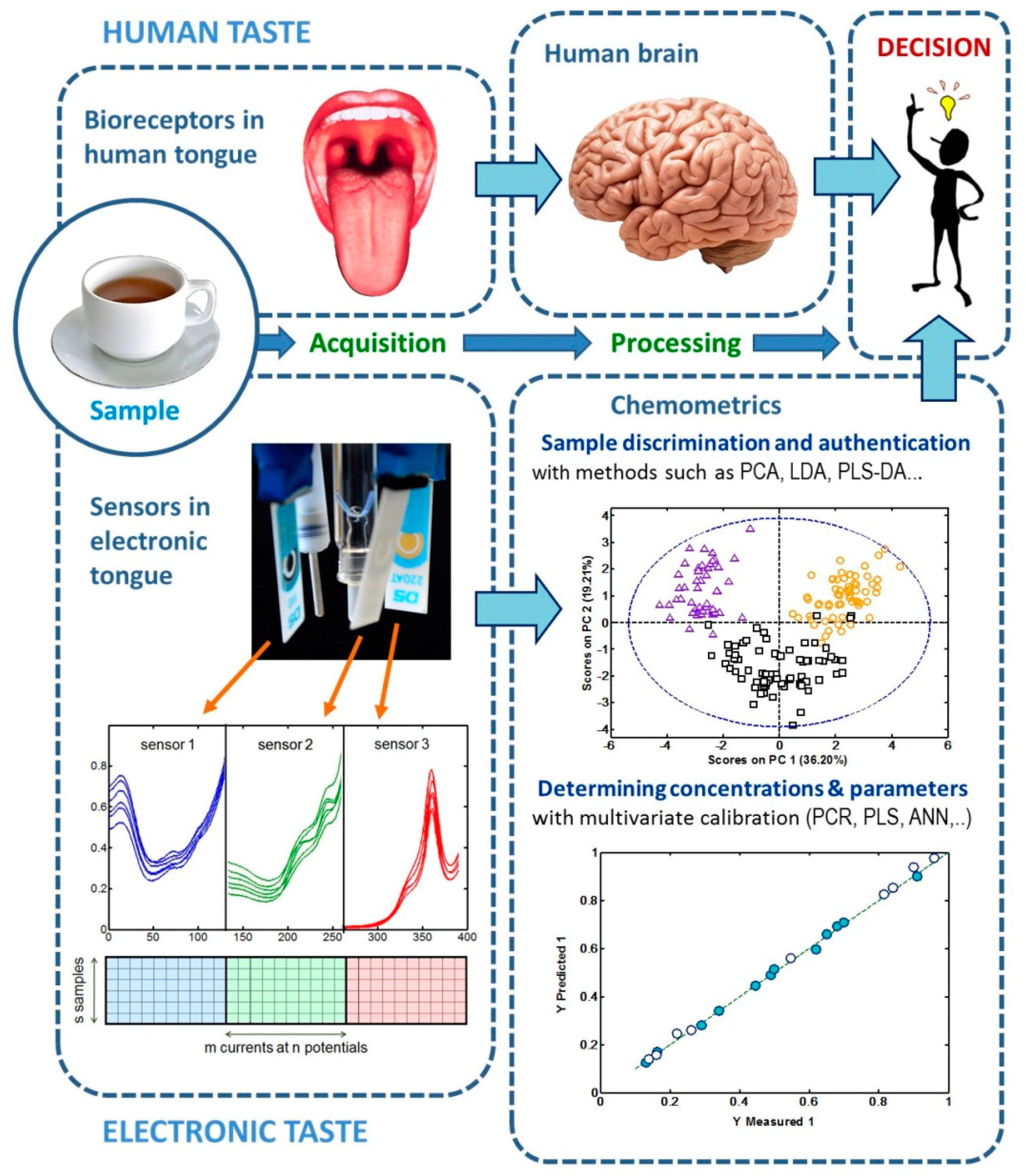 Sensors 19 04261 g001