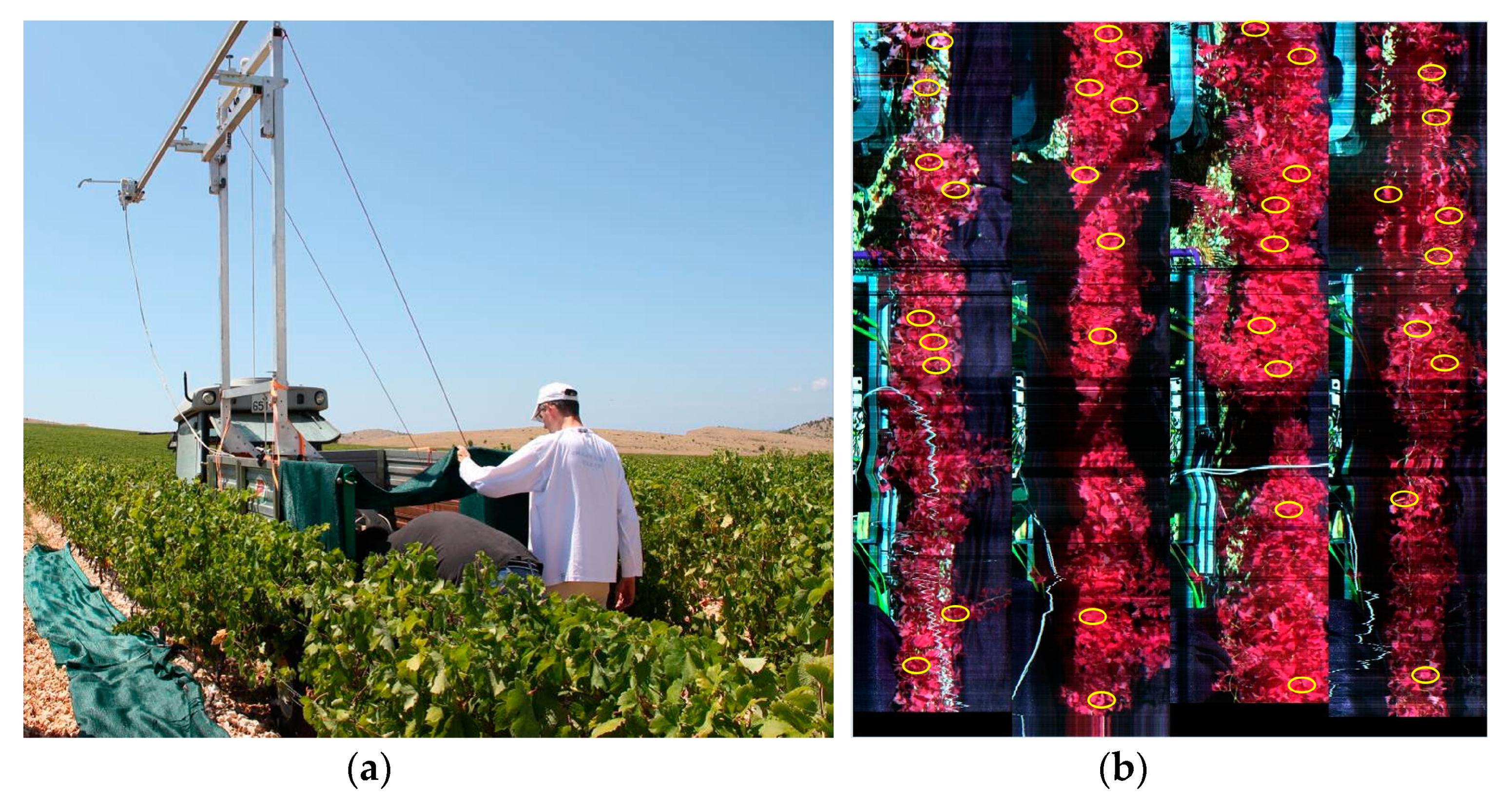 Sensors 19 04267 g010