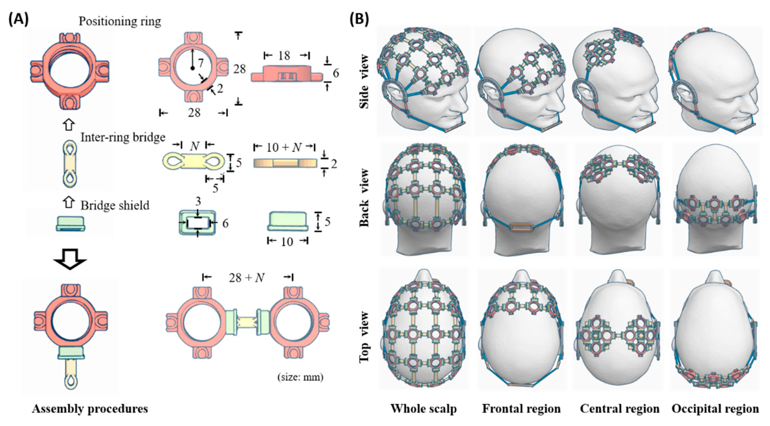 Sensors Free Full Text Cost Efficient And Custom Electrode Holder Assembly Infrastructure For Eeg Recordings Html