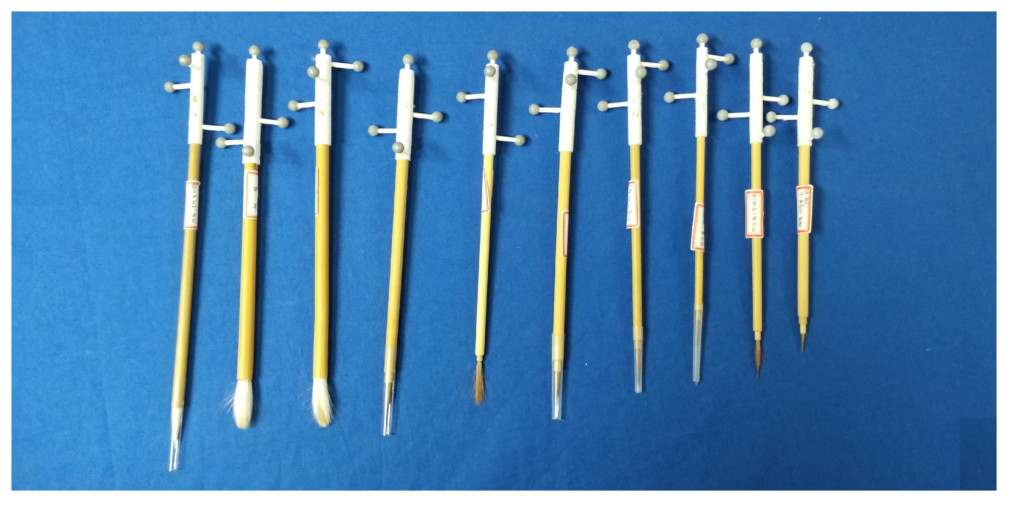 Sensors 19 04292 g010 550