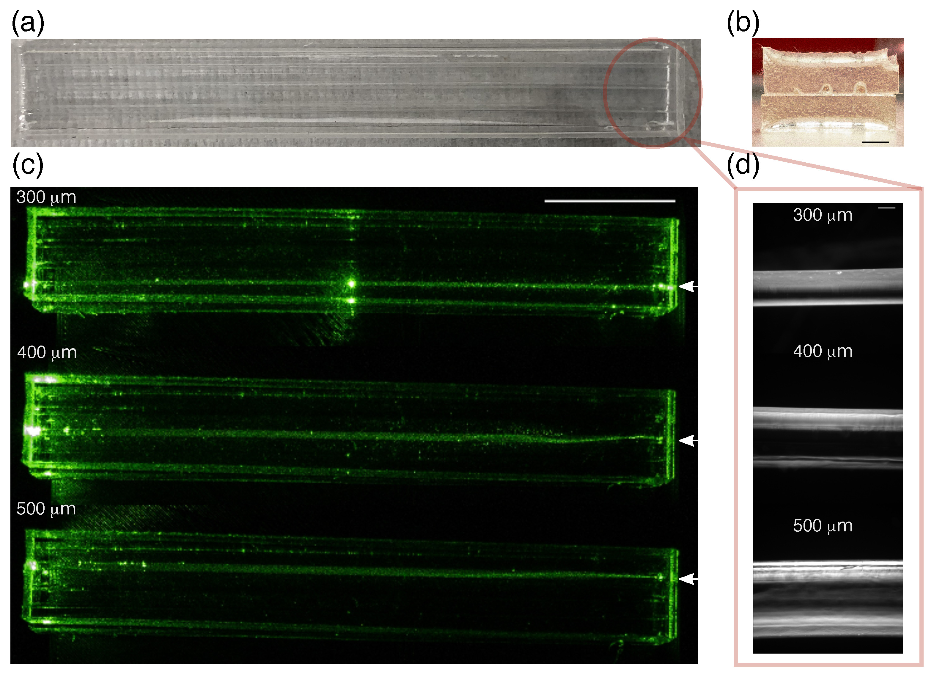 Sensors 19 04333 g005