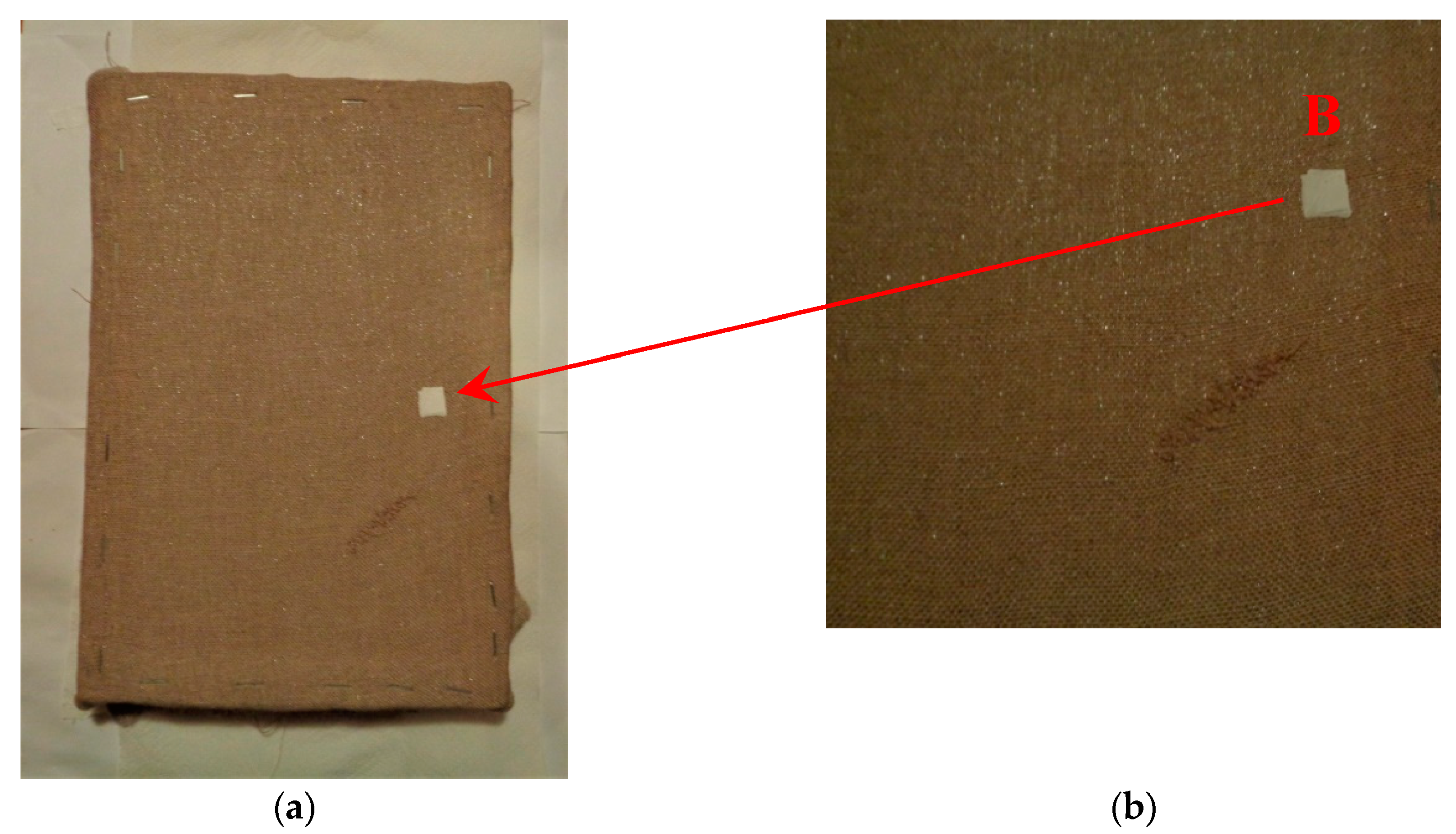 Sensors 19 04335 g005