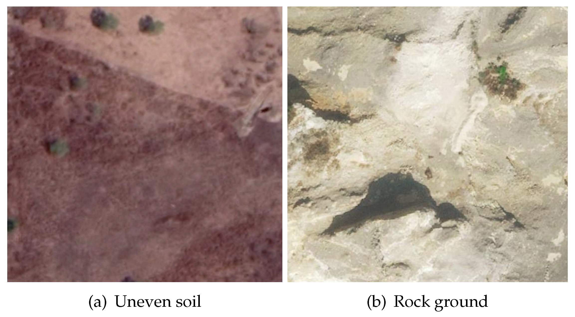 Sensors 19 04372 g019