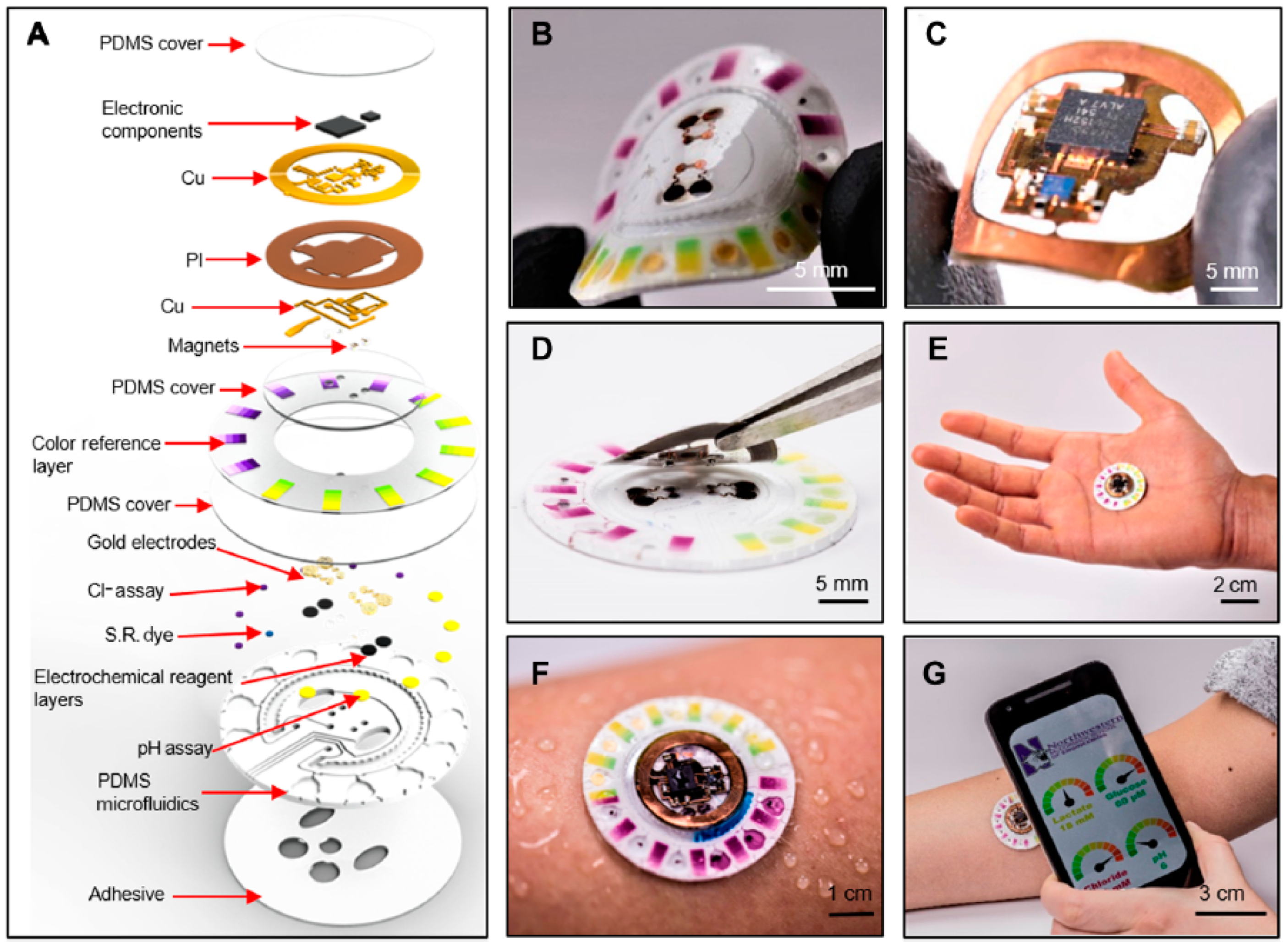 Sensors Free Full Text Recent Advances In Skin Chemical Sensors Html Sensors Free Full Text Recent Advances In Skin Chemical Sensors Html