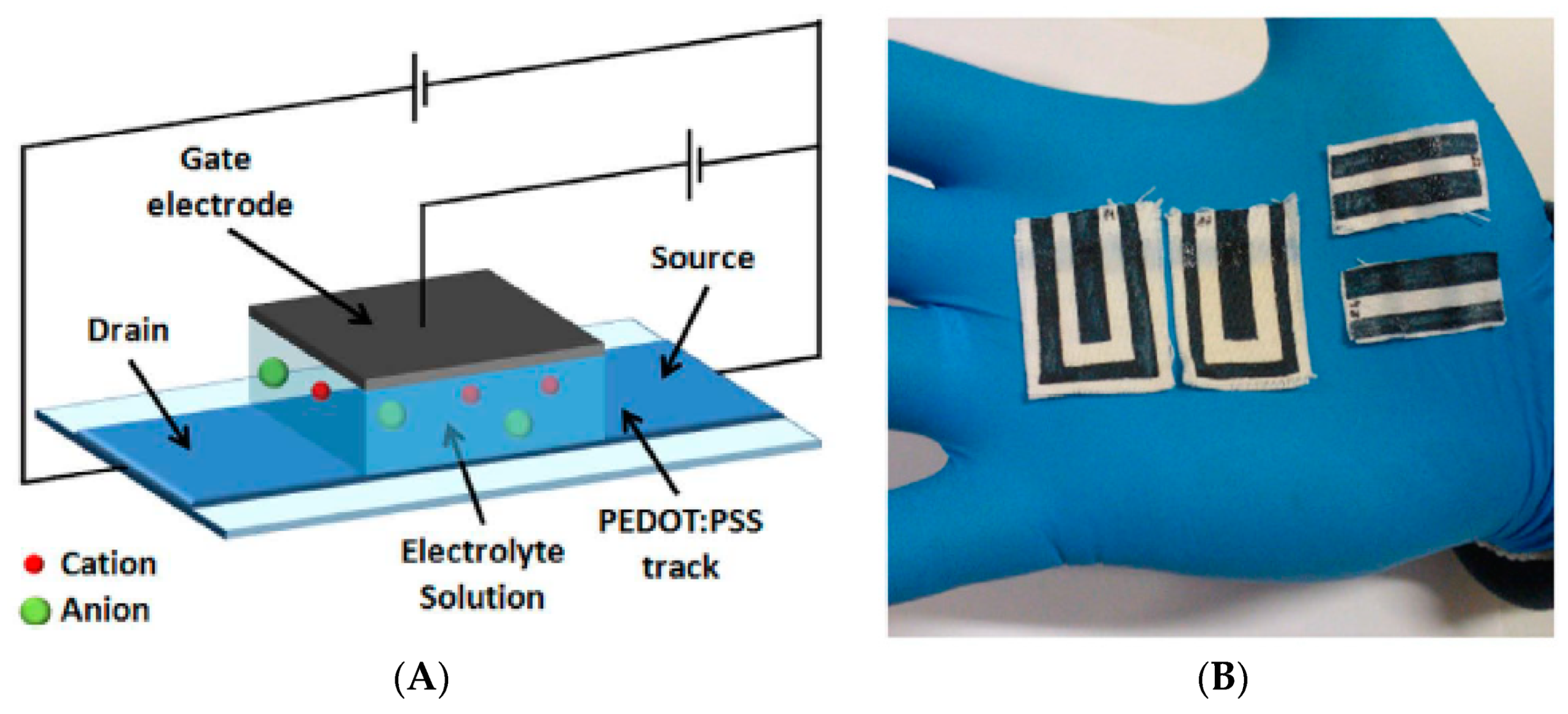 Sensors 19 04376 g004