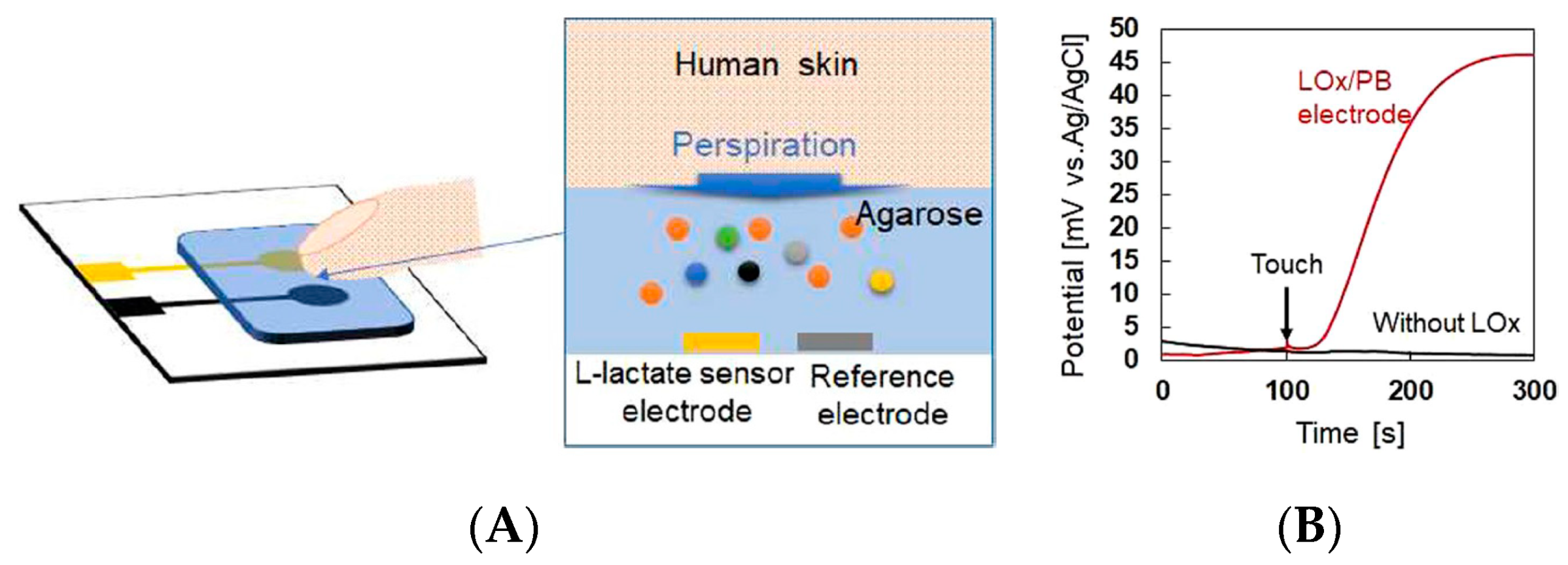 Sensors 19 04376 g013