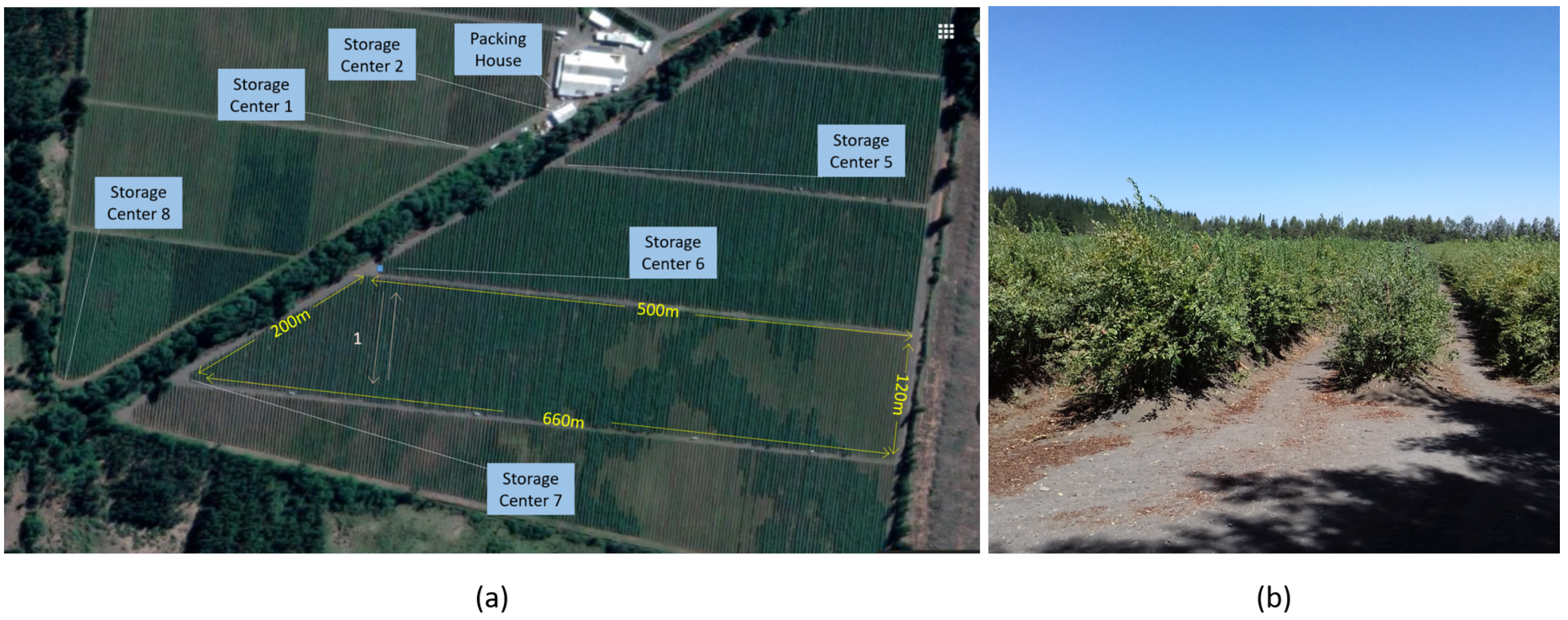 Sensors 19 04421 g002