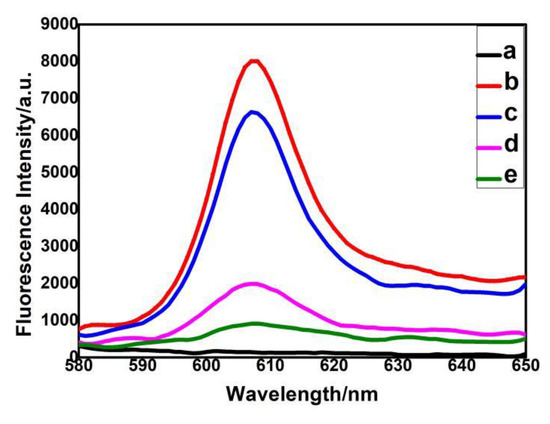 A) Fluorescence intensity of NMM at 608 nm in the presence of distinct