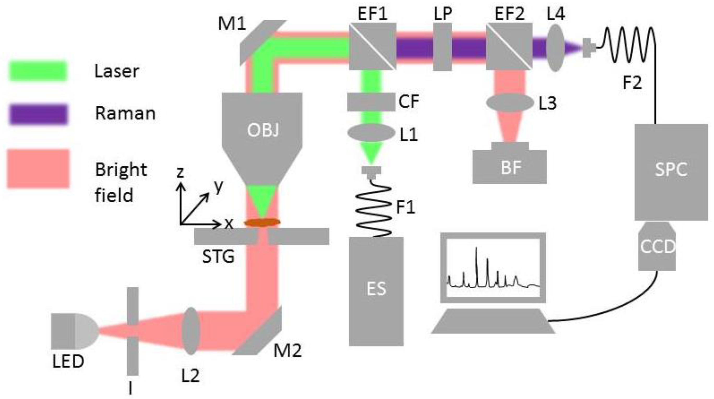 Sensors 19 04428 g001 Sensors 19 04428 g001