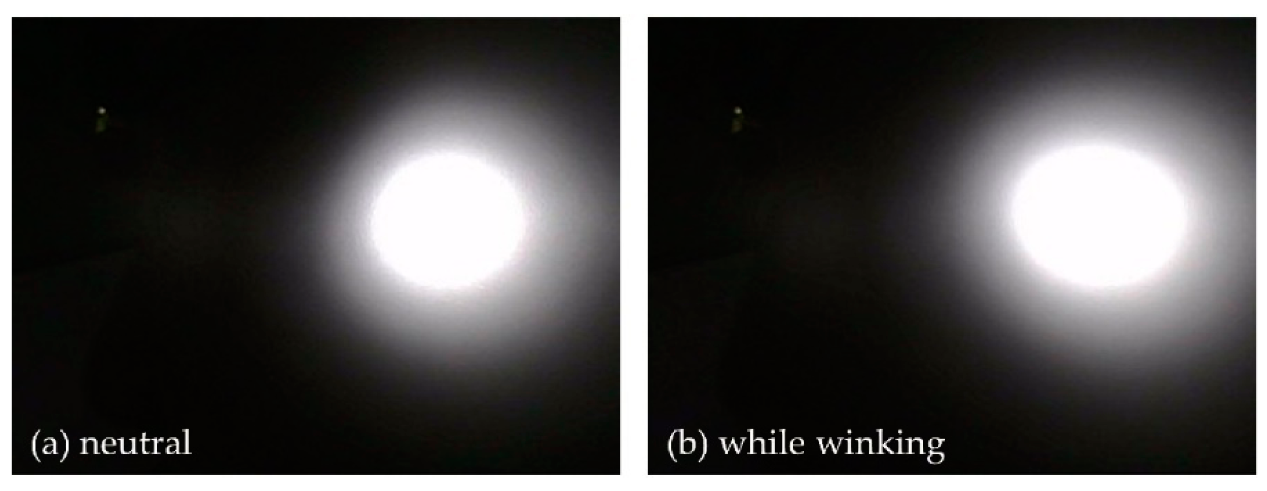 Sensors 19 04441 g004 Sensors 19 04441 g004