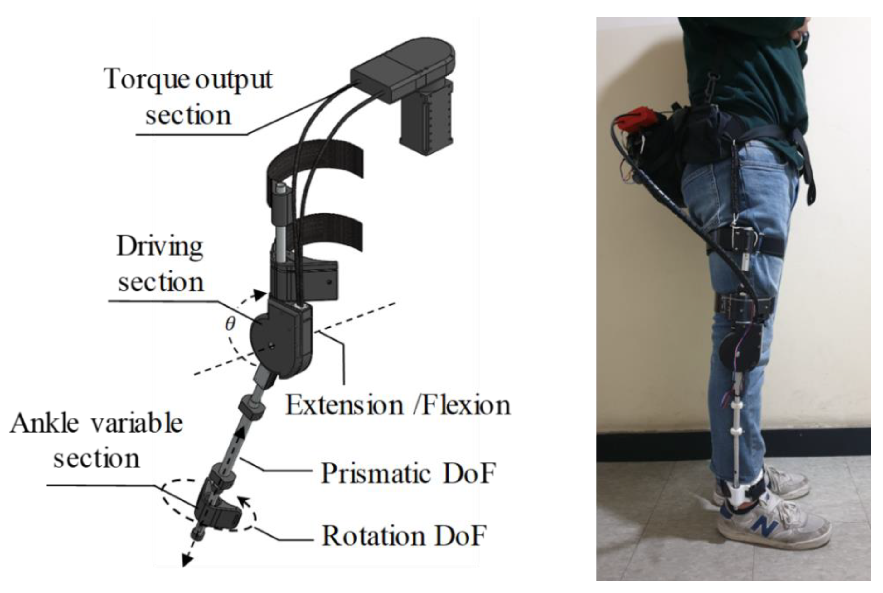 Sensors 19 04447 g002 550