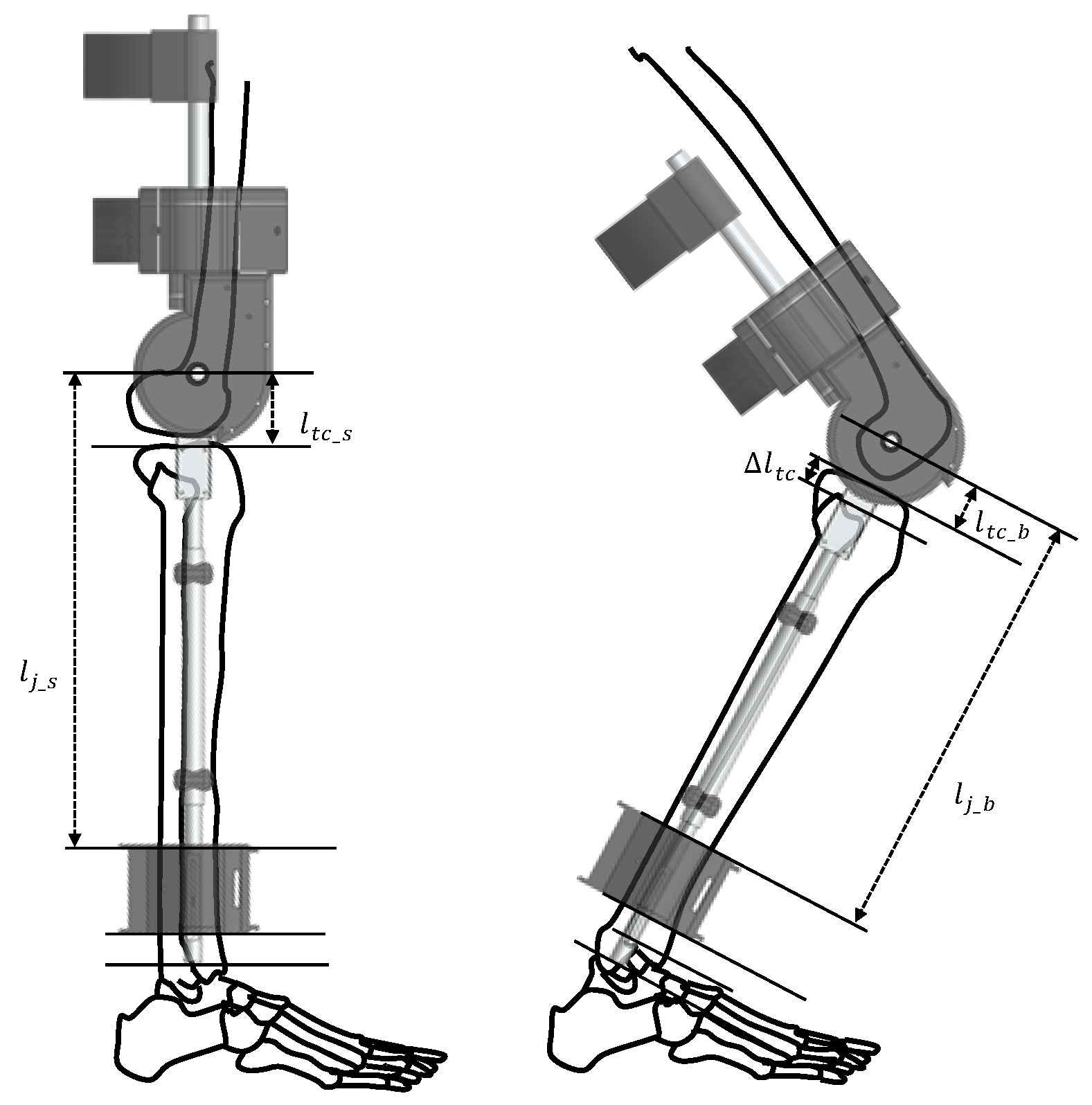 Sensors 19 04447 g004 550