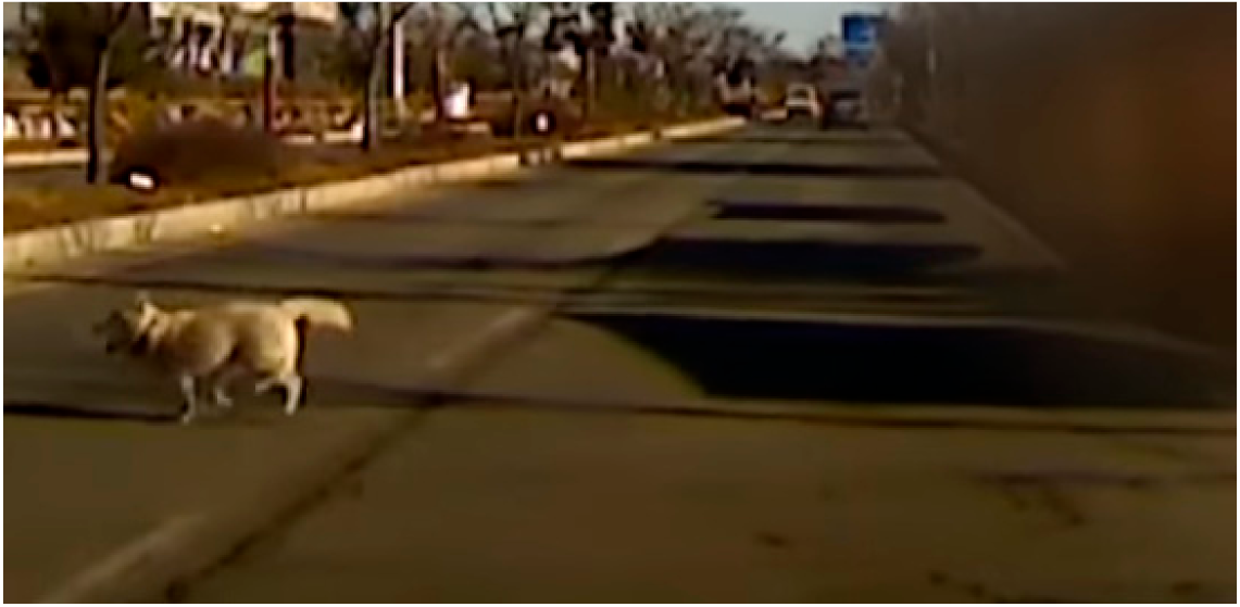 Sensors 19 04456 i007