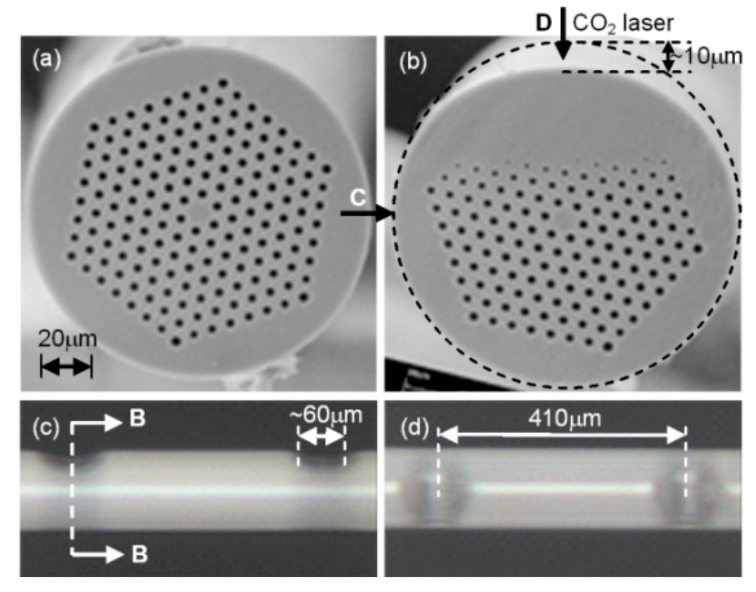 Sensors 19 04473 g006 Sensors 19 04473 g006