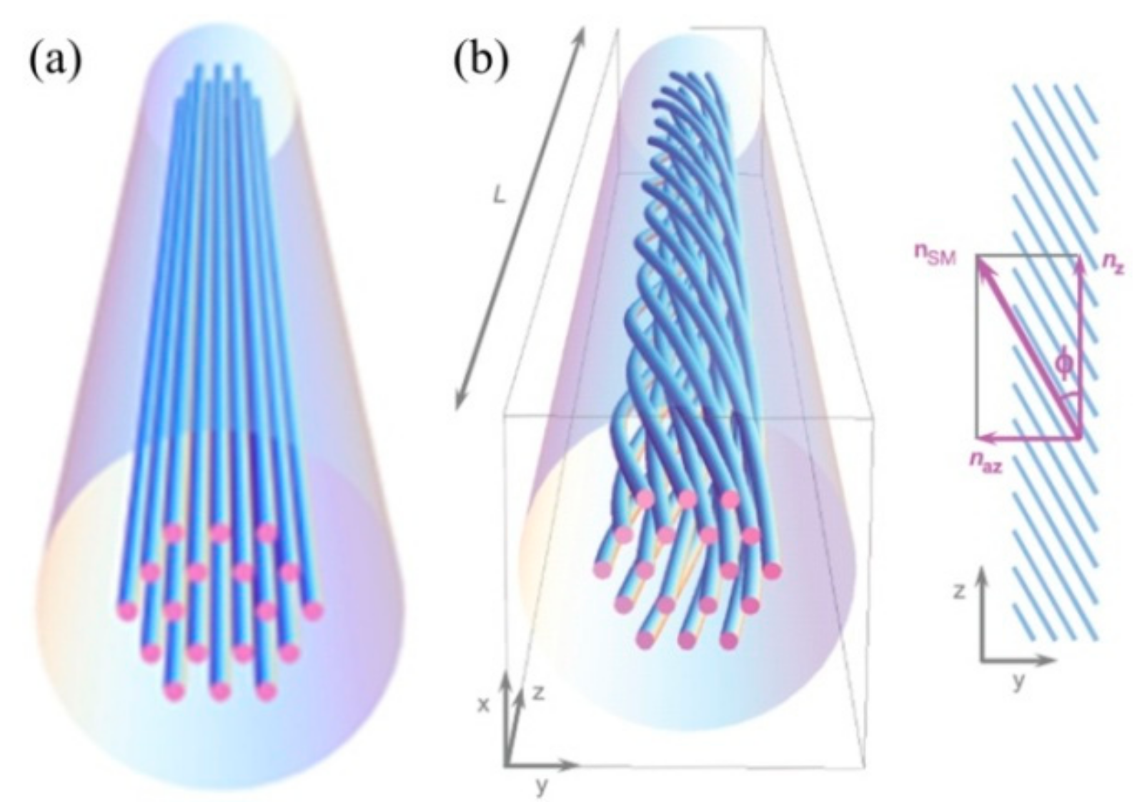 Sensors 19 04473 g008 Sensors 19 04473 g008