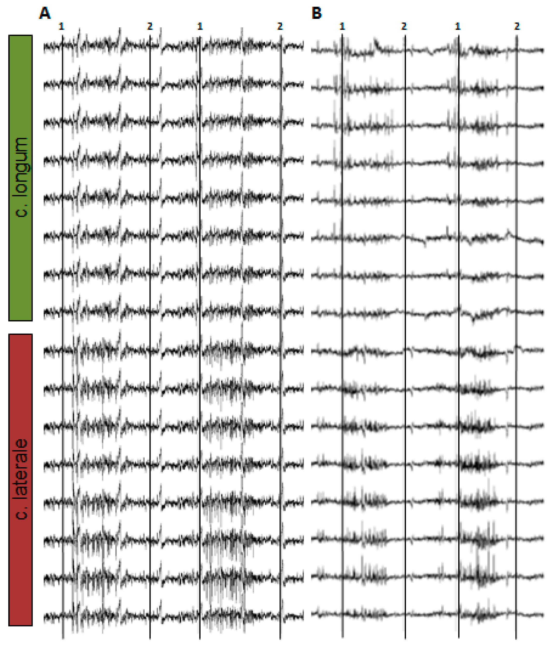 Sensors 19 04477 g005 550