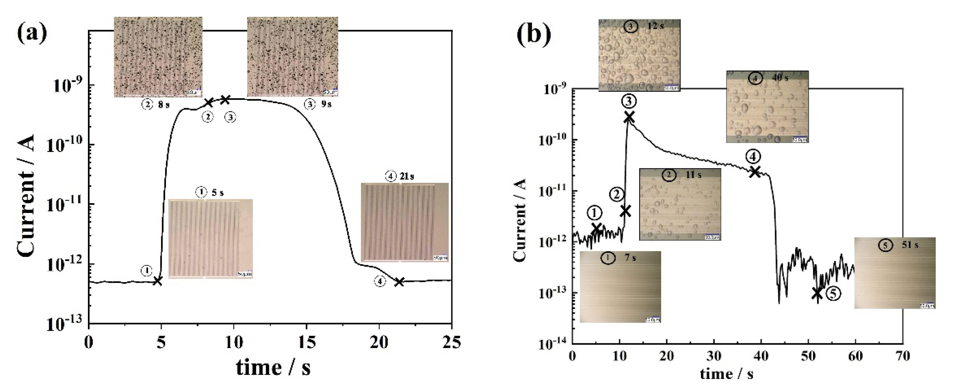 Sensors 19 04500 g003