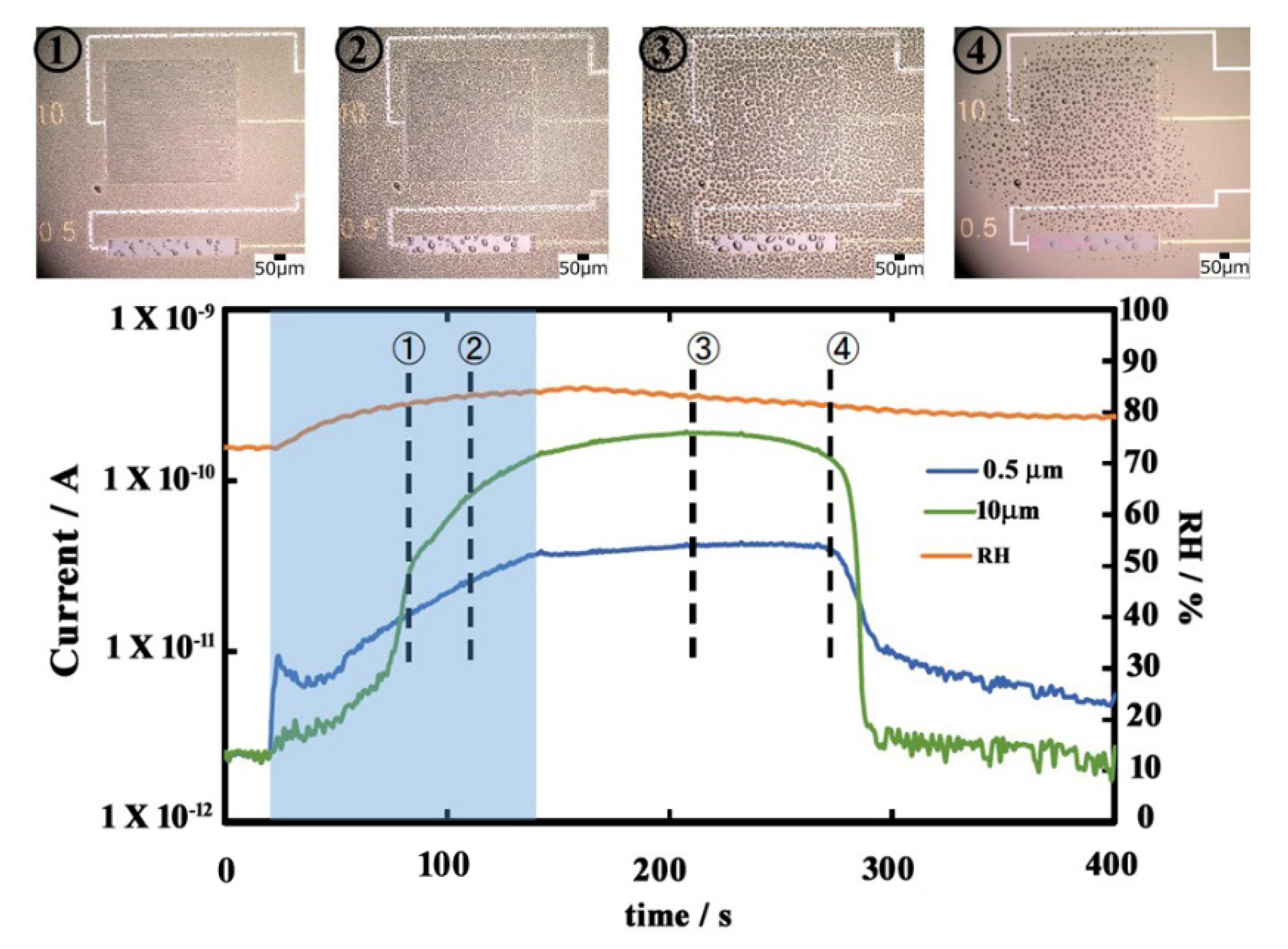 Sensors 19 04500 g004