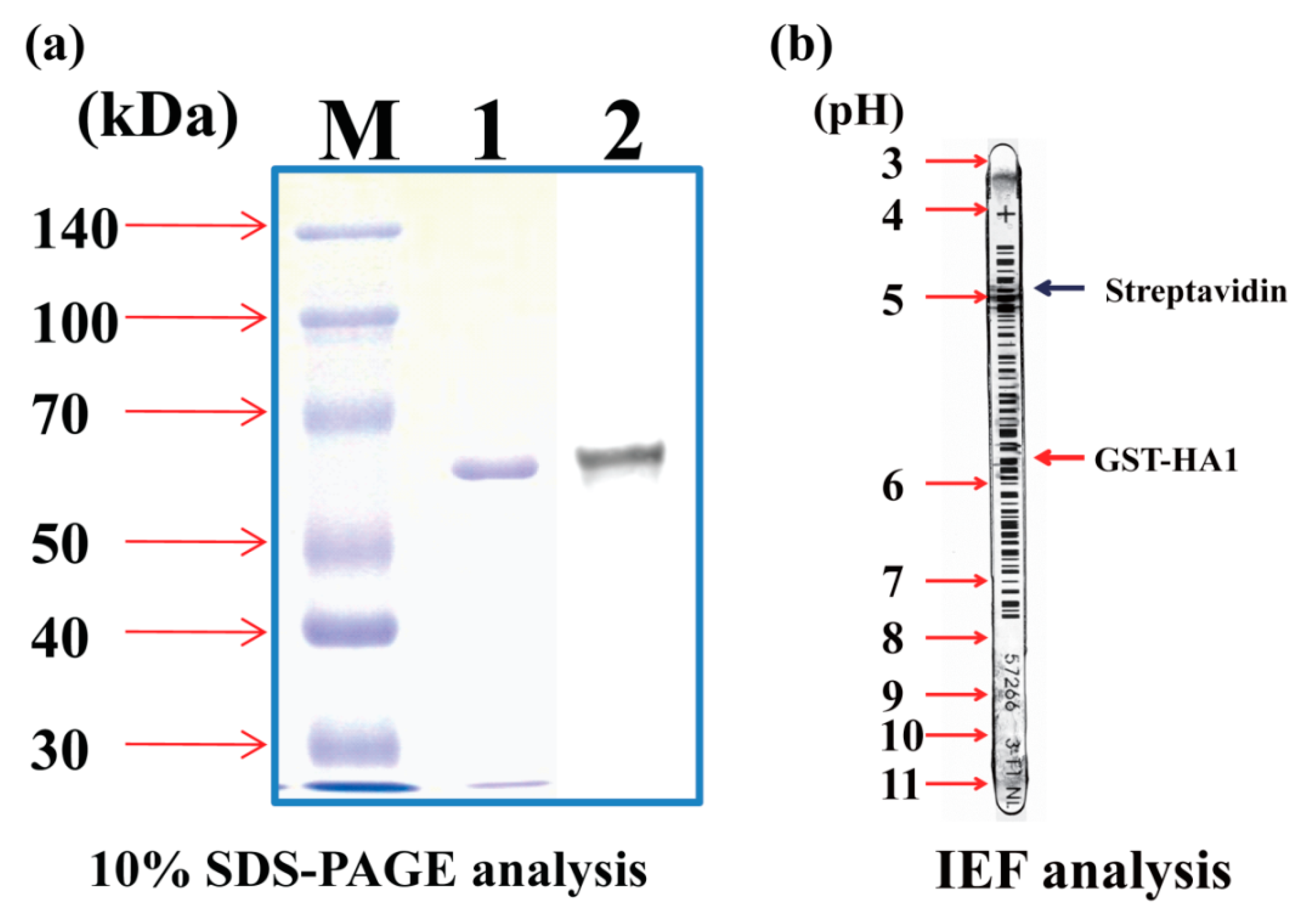Sensors 19 04502 g002 Sensors 19 04502 g002