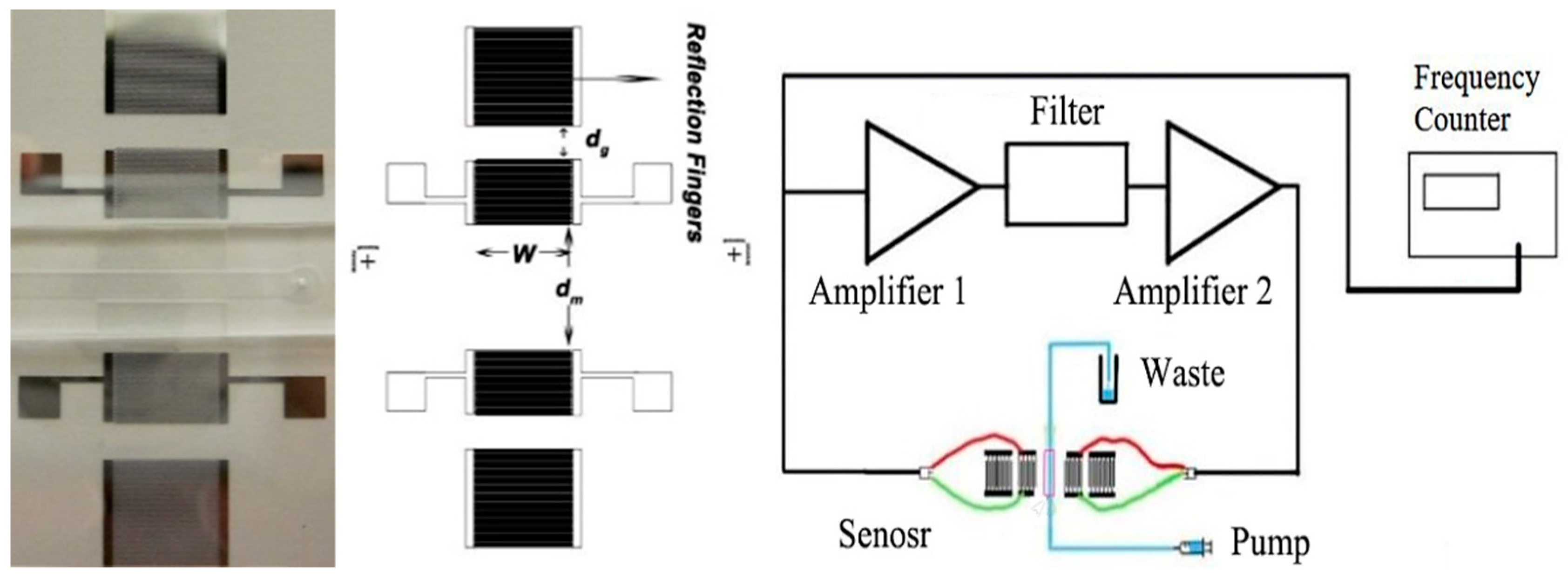 Sensors 19 04533 g006