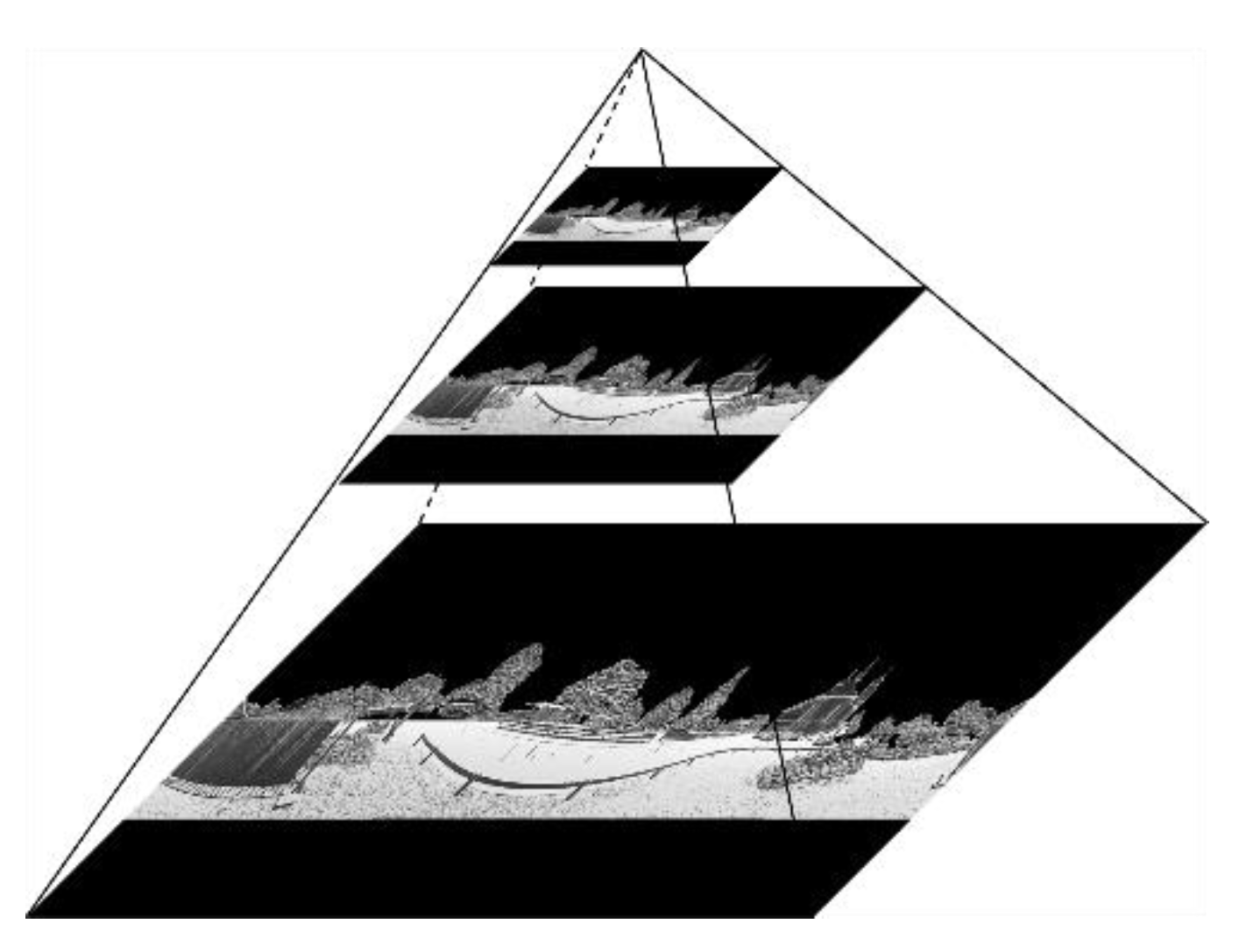 Sensors 19 04546 g008
