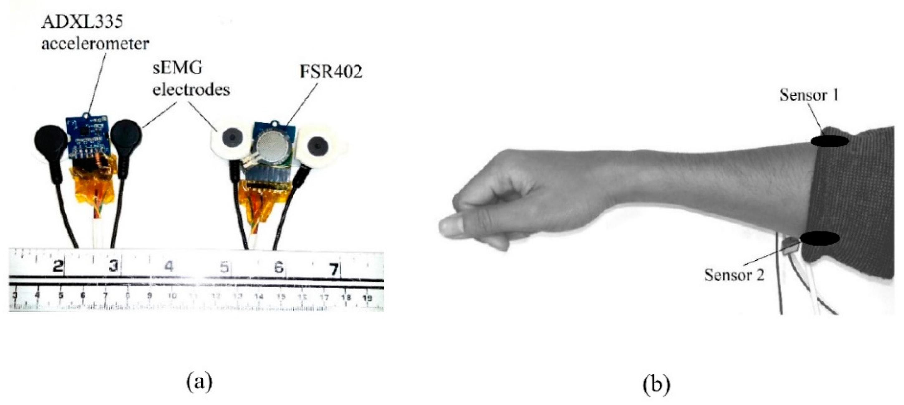 Sensors 19 04557 g008