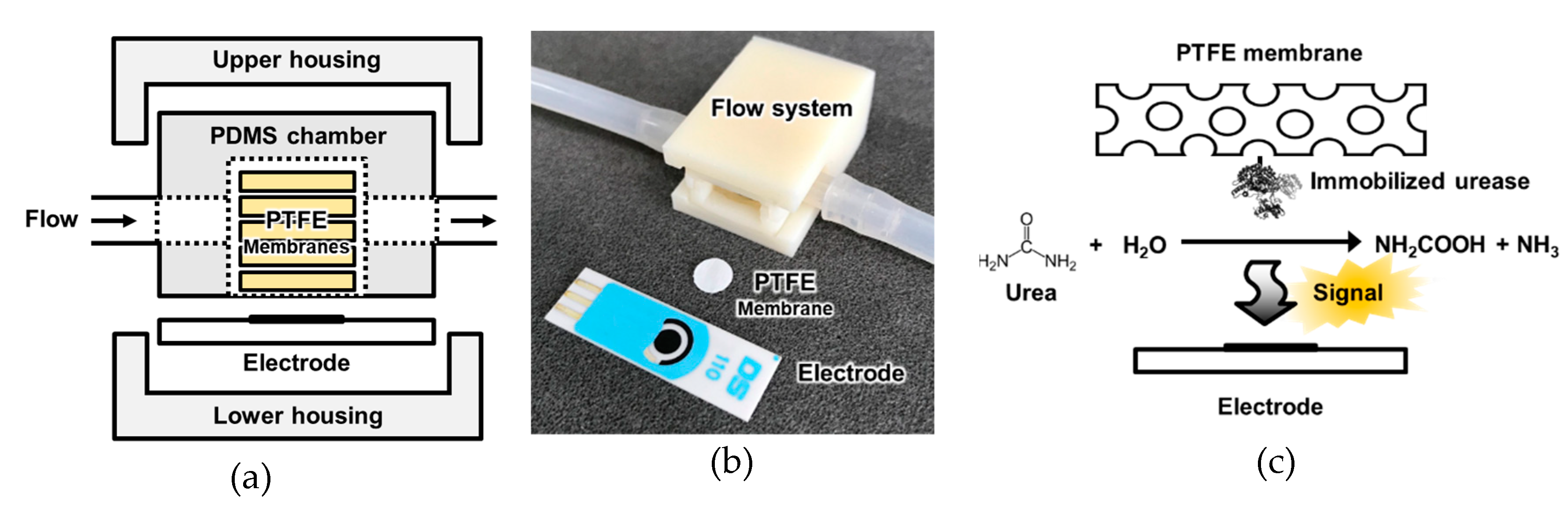 Sensors 19 04560 g001
