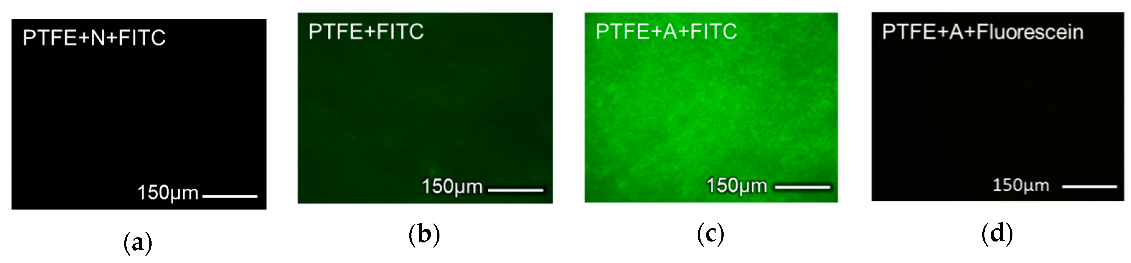 Sensors 19 04560 g002