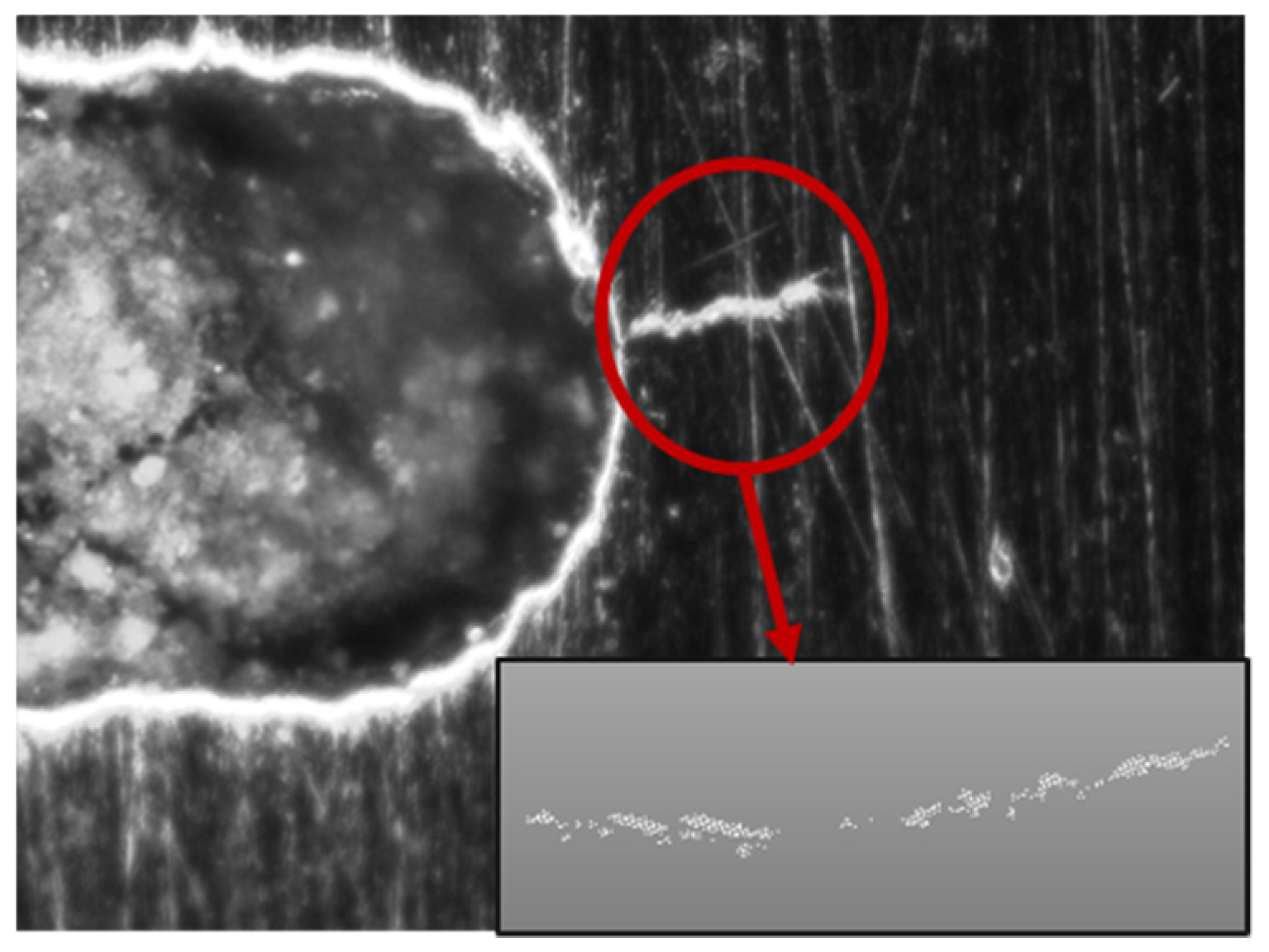 Sensors 19 04571 g008