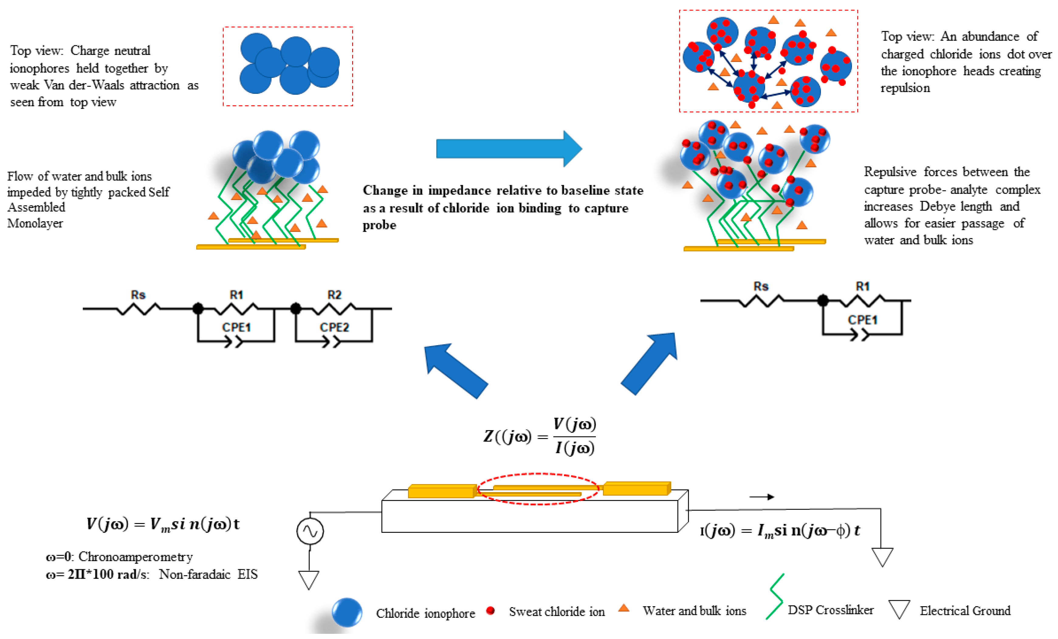 Sensors 19 04590 g002 Sensors 19 04590 g002