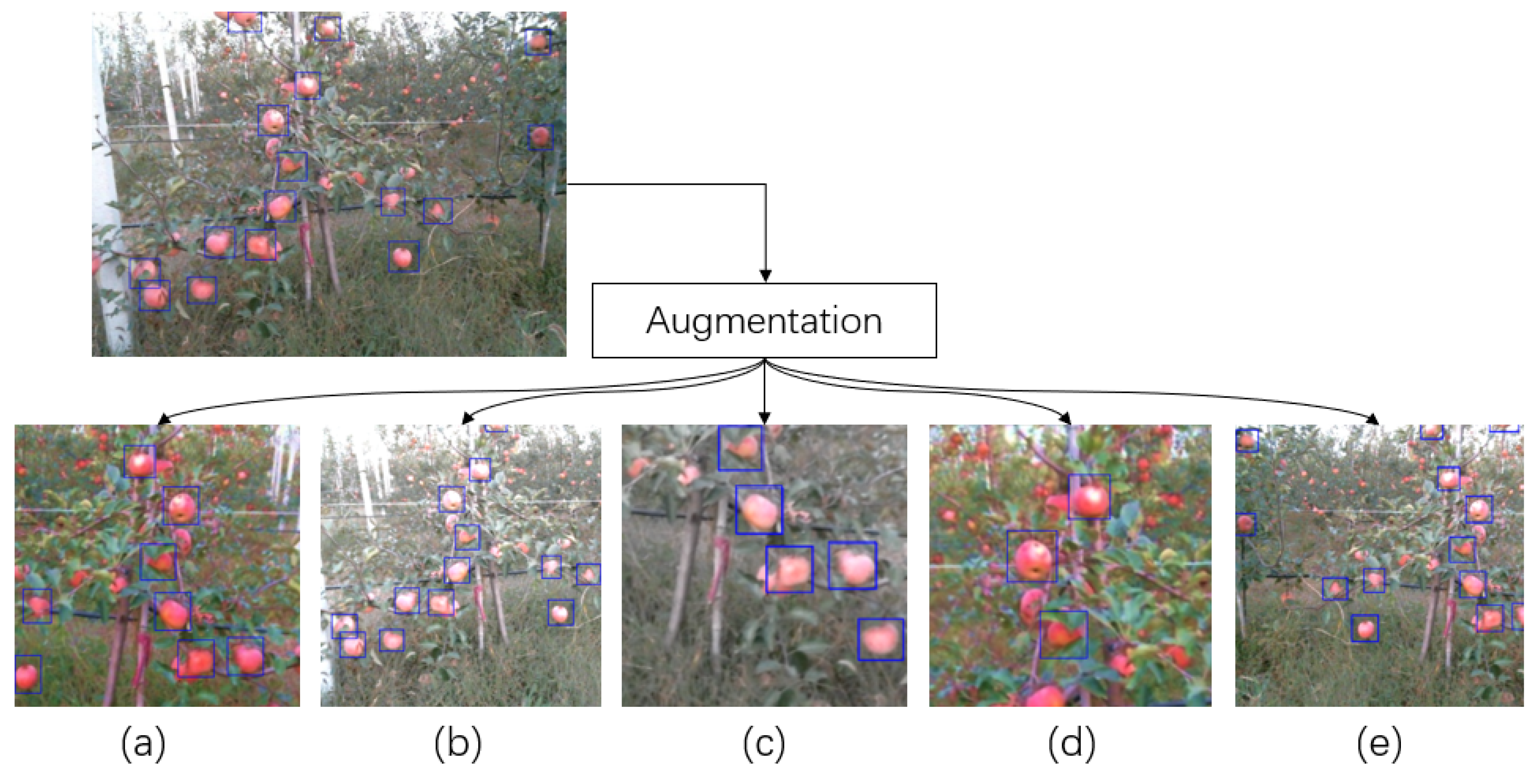 Sensors Free Full Text Fruit Detection And Segmentation For