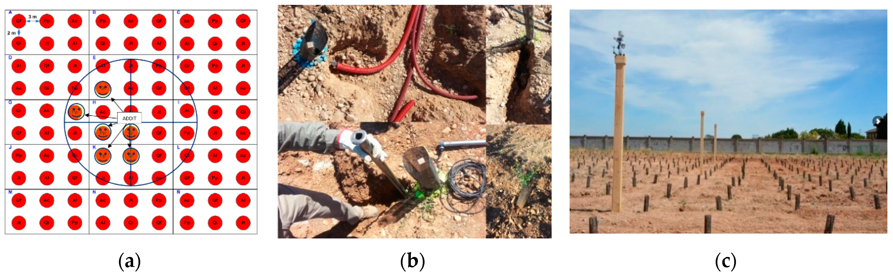 Sensors 19 04634 g002 Sensors 19 04634 g002