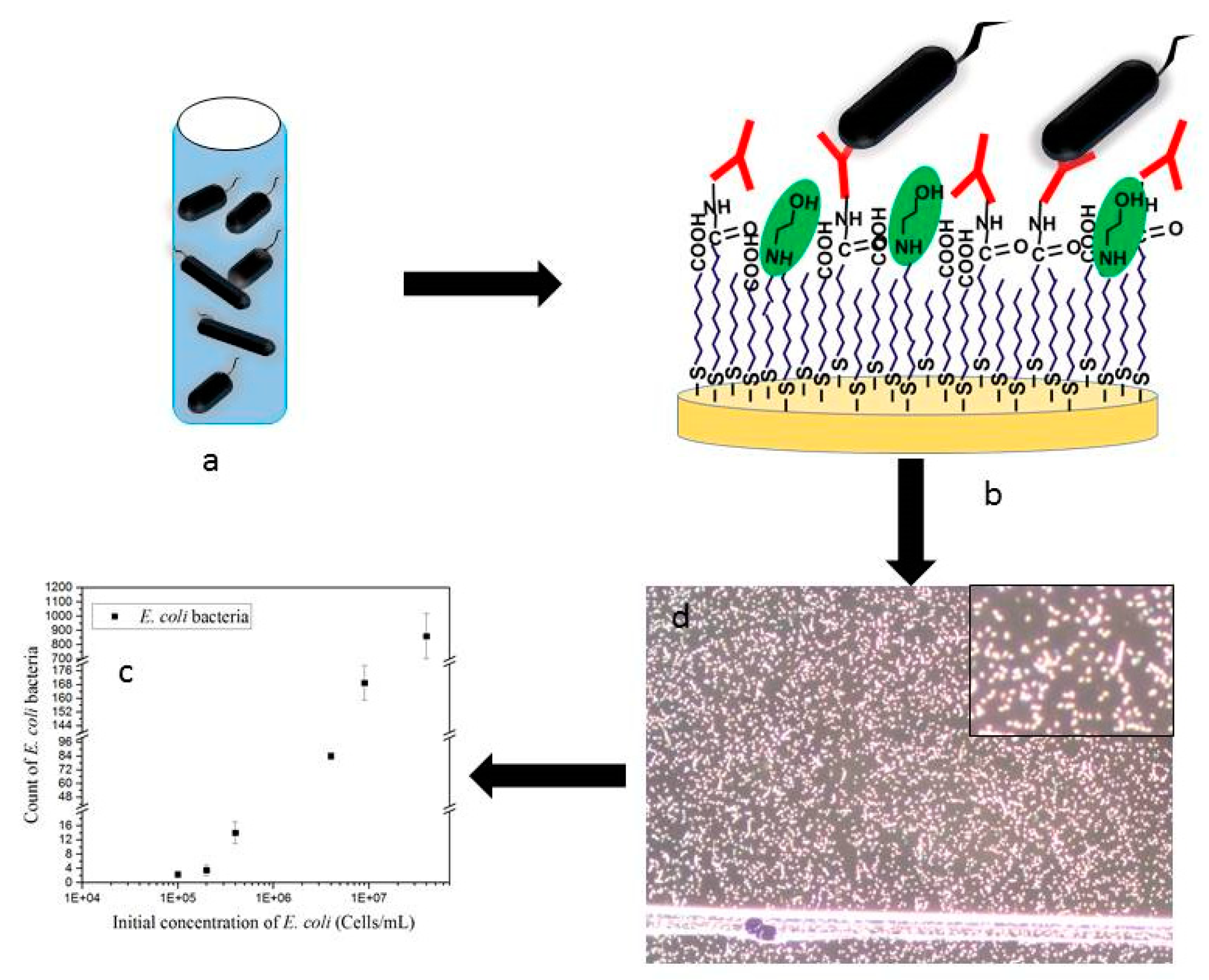 Sensors 19 04652 g001