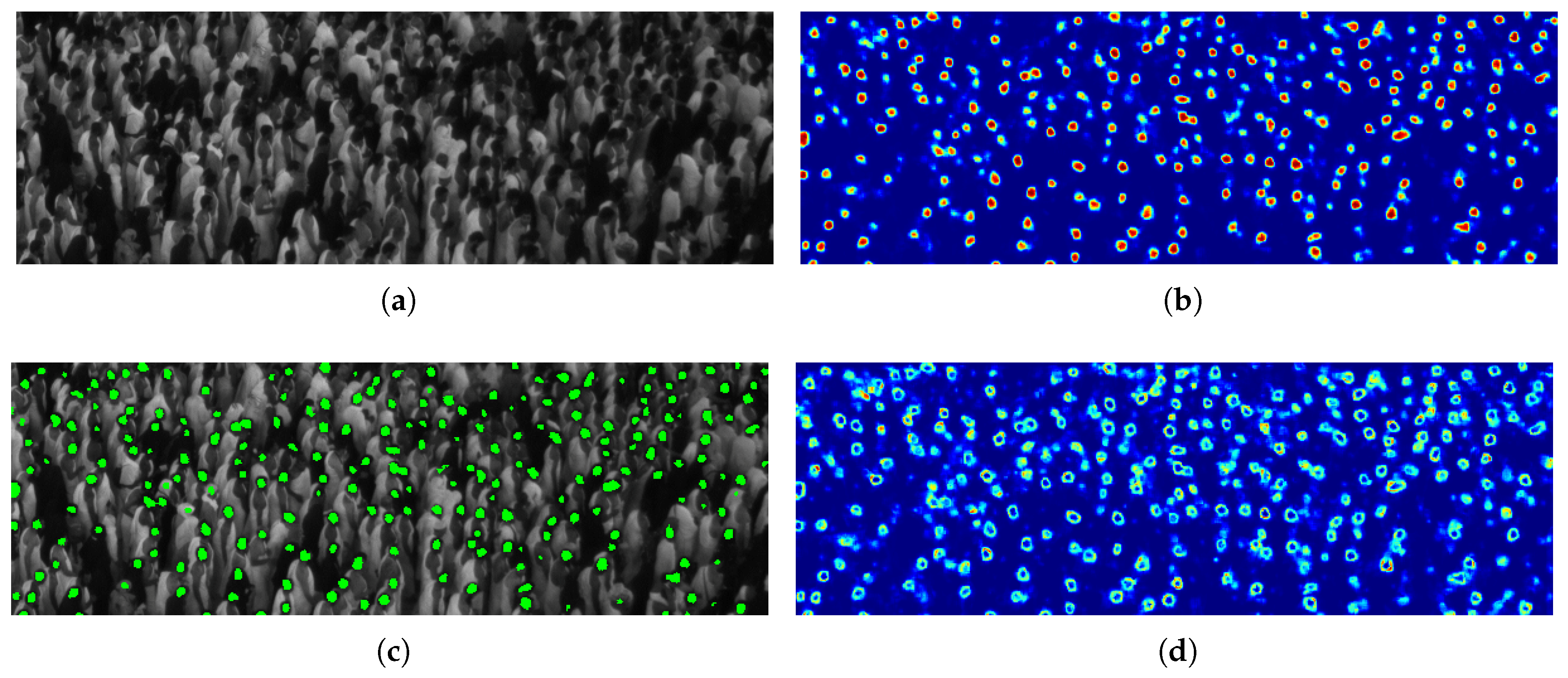Sensors 19 04664 g009
