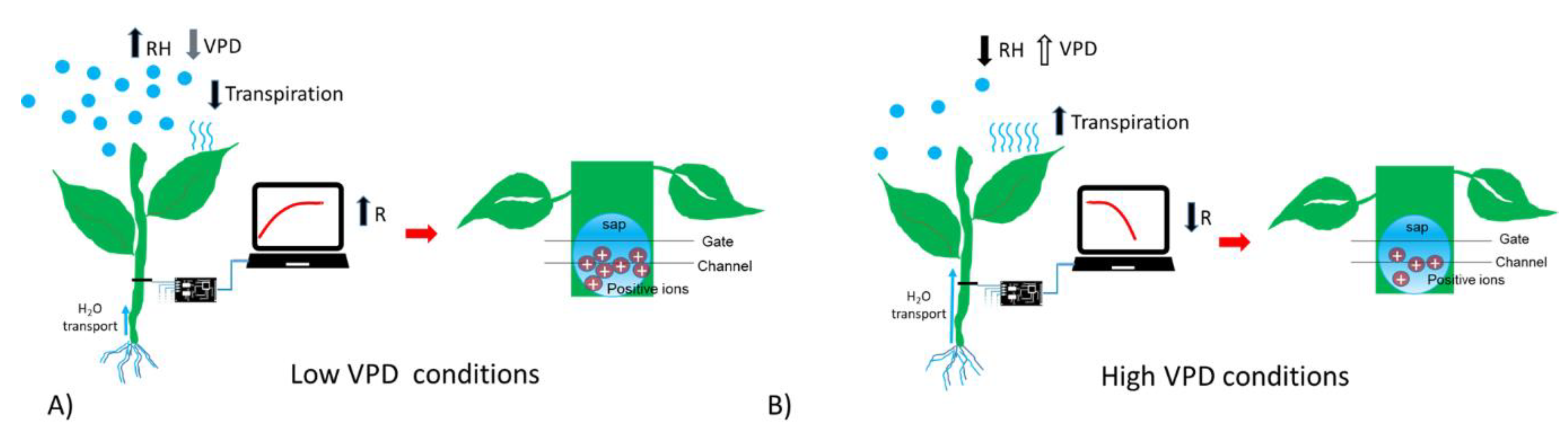 Sensors 19 04667 g004 Sensors 19 04667 g004