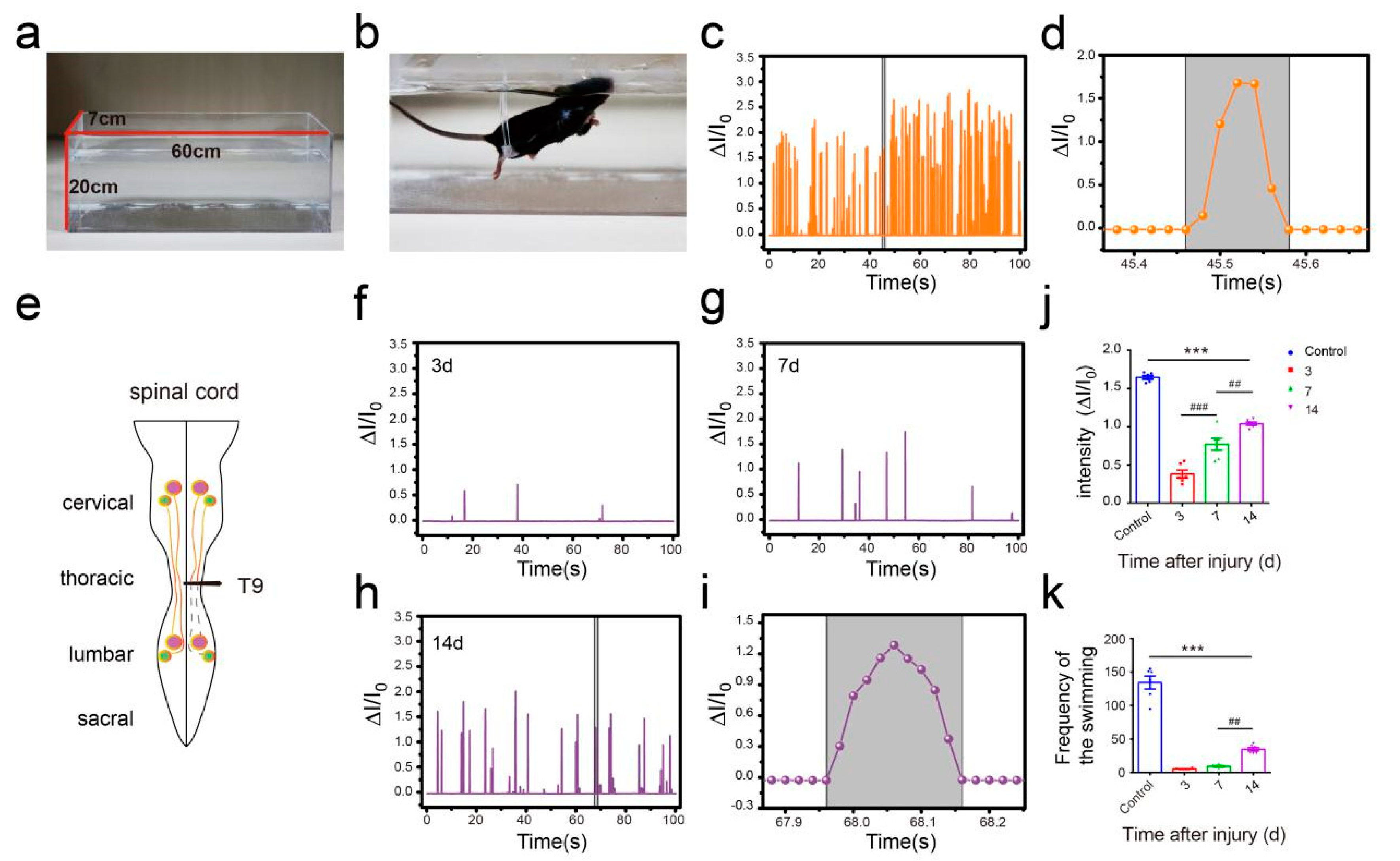 Sensors 19 04673 g009 Sensors 19 04673 g009