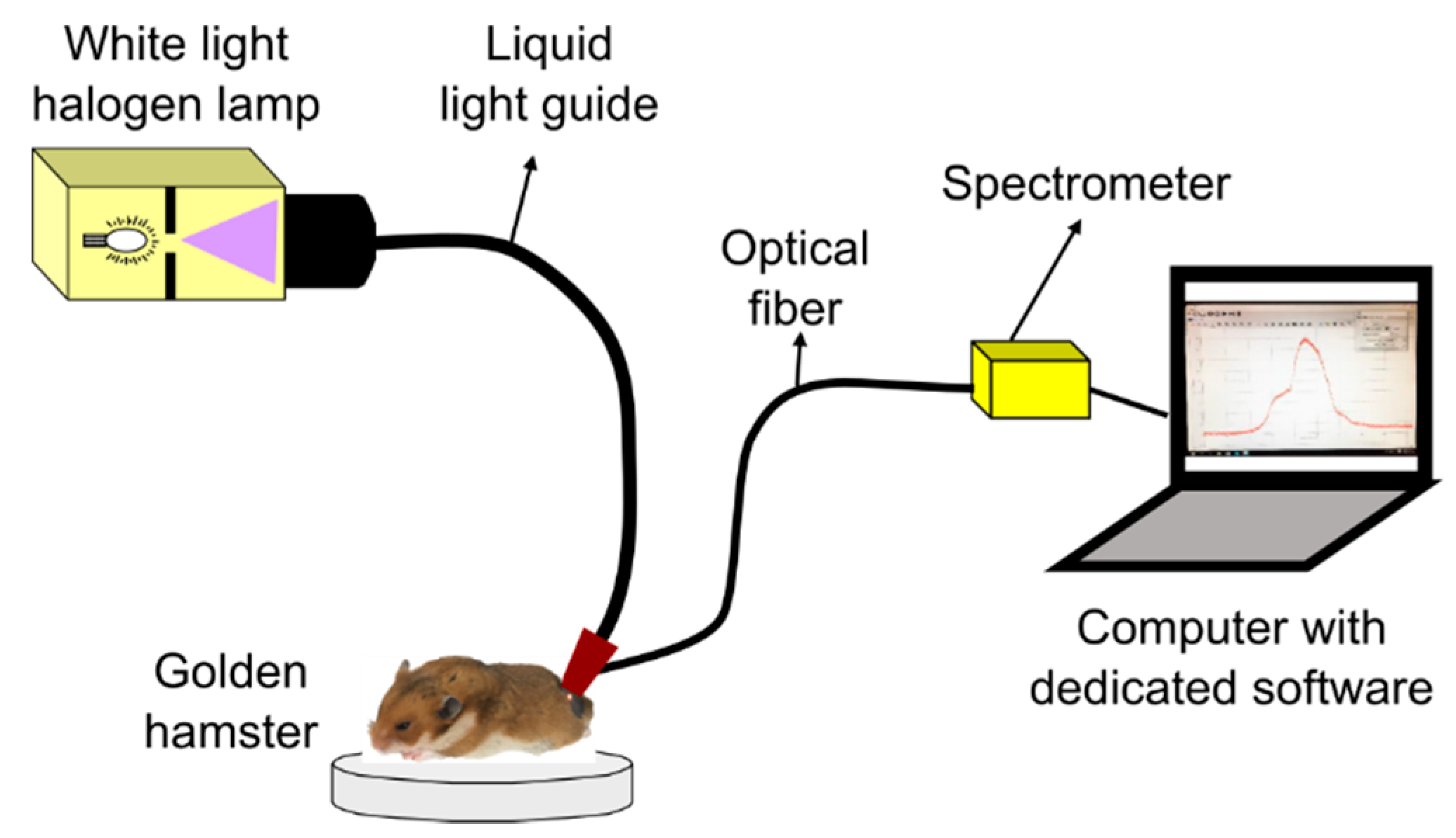 Sensors 19 04674 g001