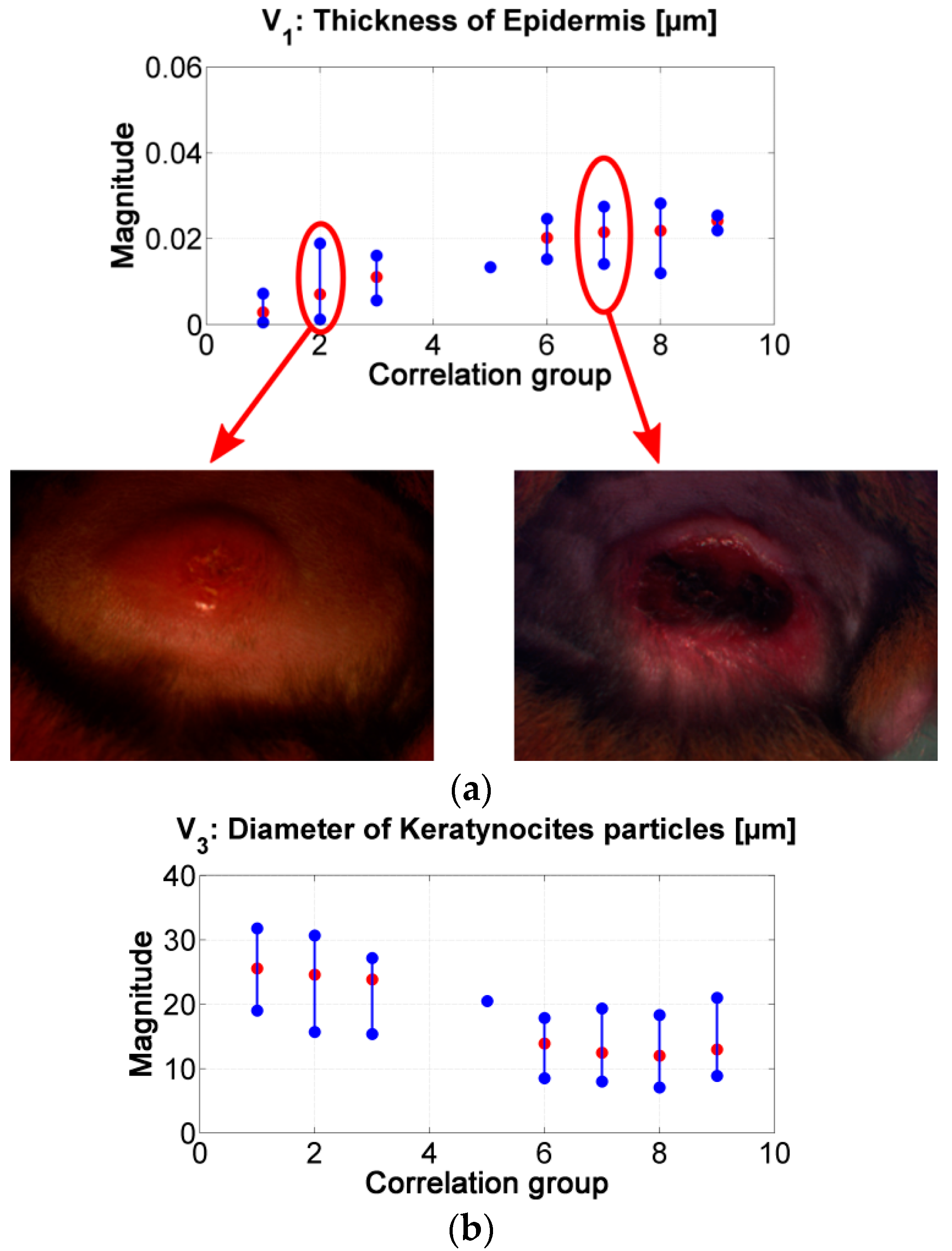 Sensors 19 04674 g008