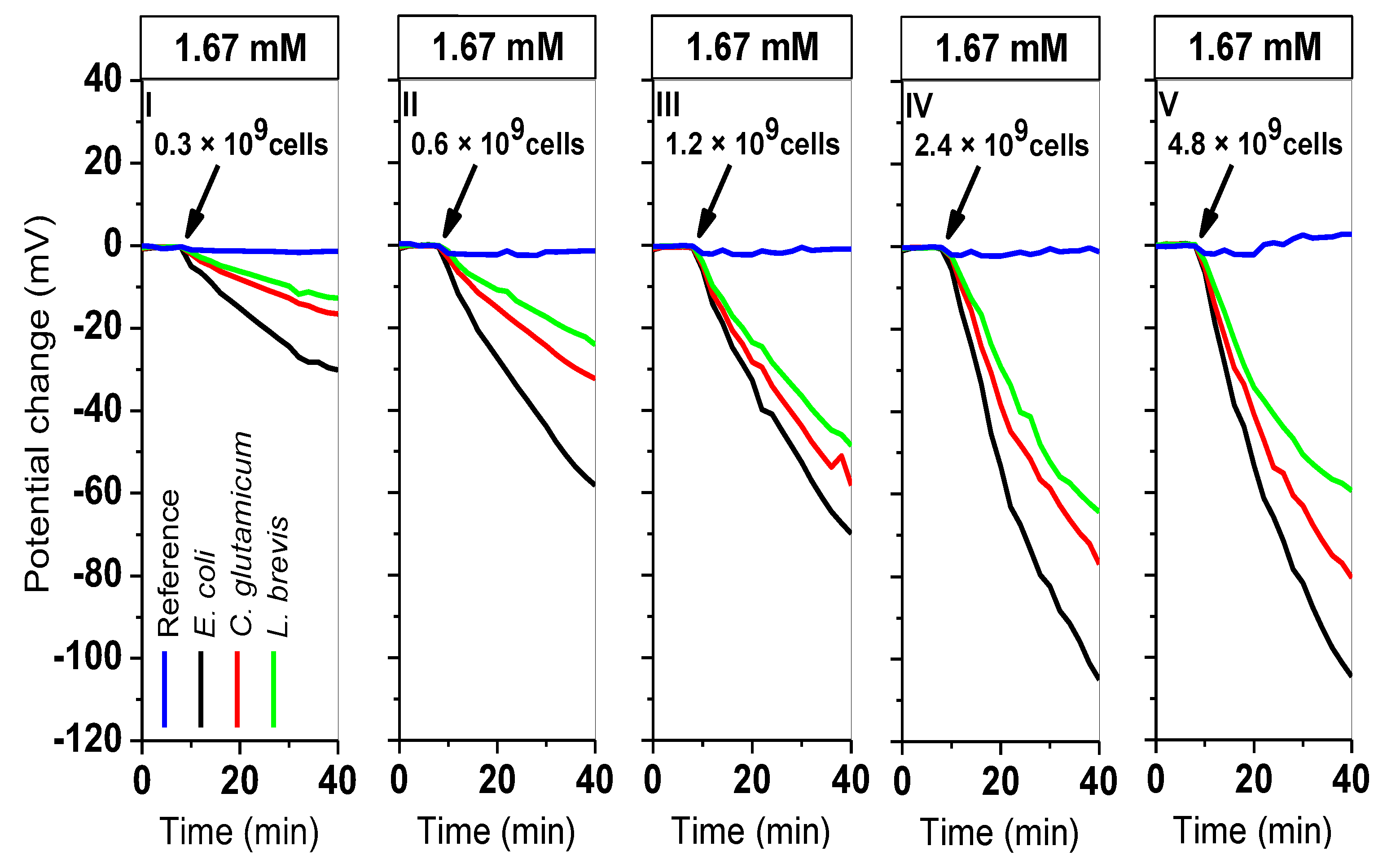 Sensors 19 04692 g006