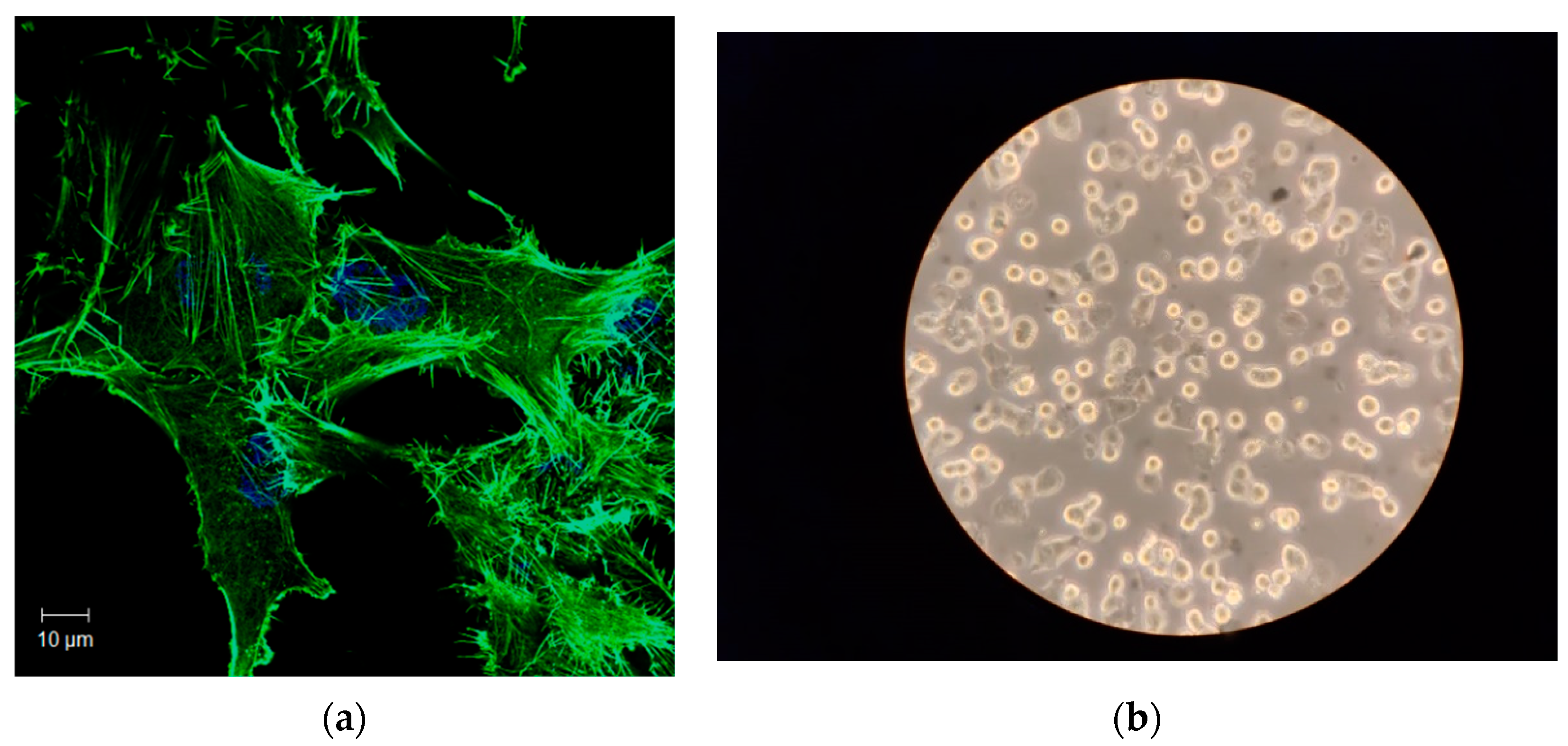 Sensors 19 04728 g008
