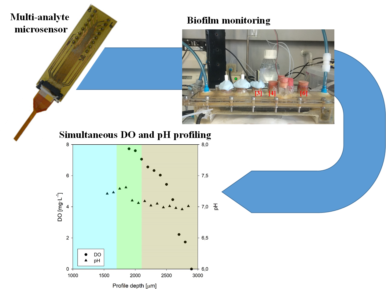Sensors Free FullText A Minimally Invasive Microsensor Specially Designed for Simultaneous